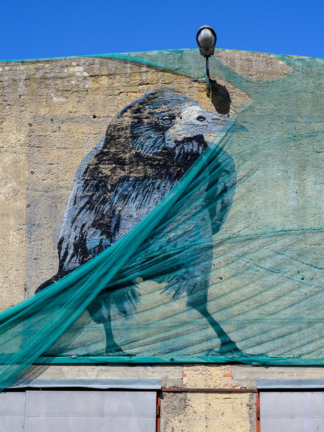 Uldis Rubezis—Vārna | Crow
