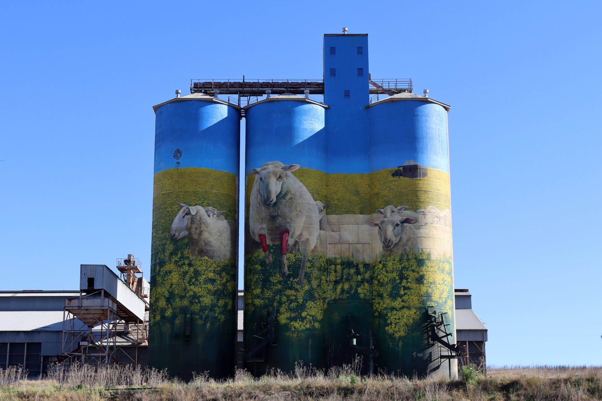 David Lee Pereira&mdash;Graincorp Merriwa Silo