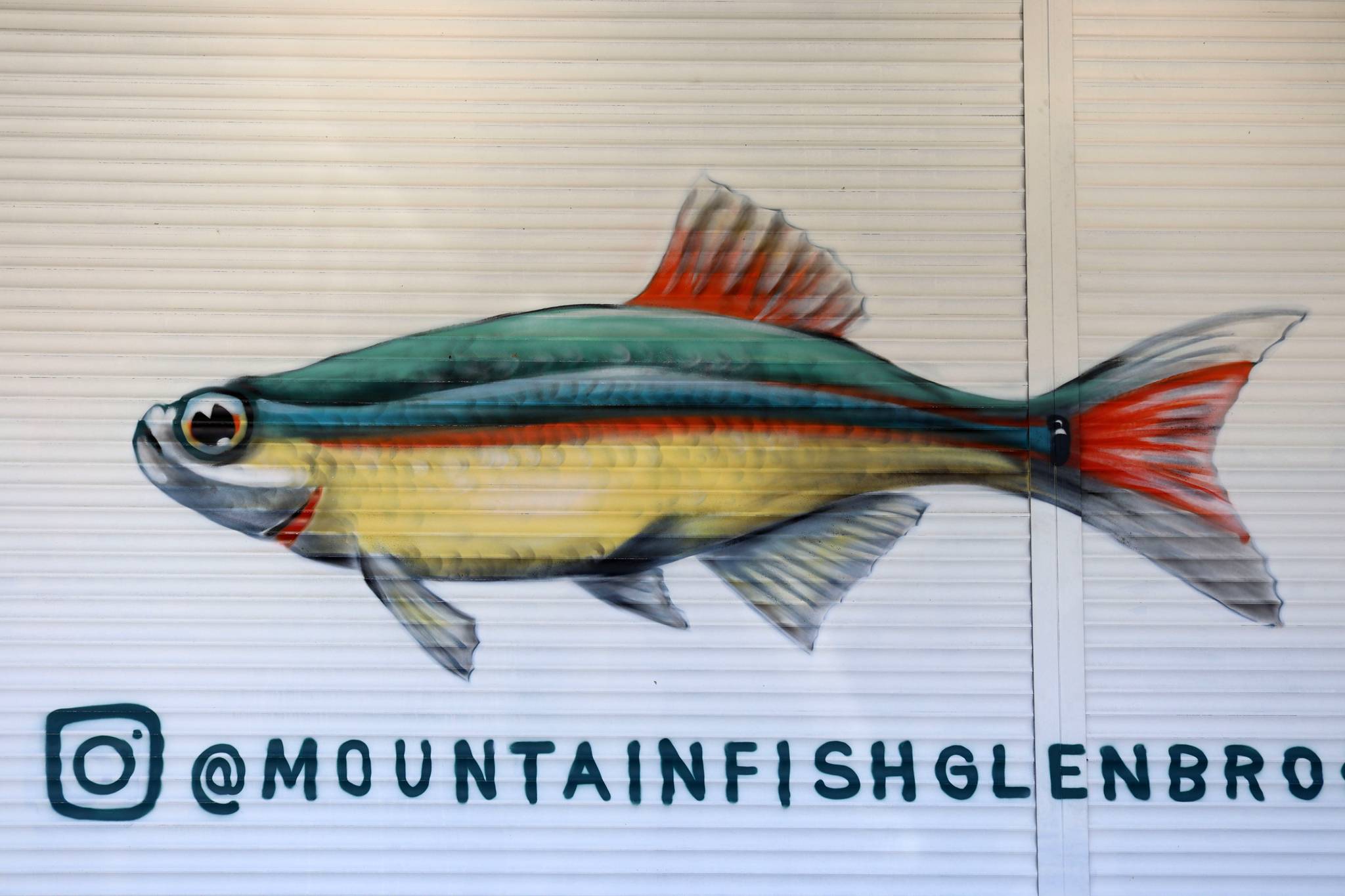 OhtisOne&mdash;Mountain Fish Glenbrook