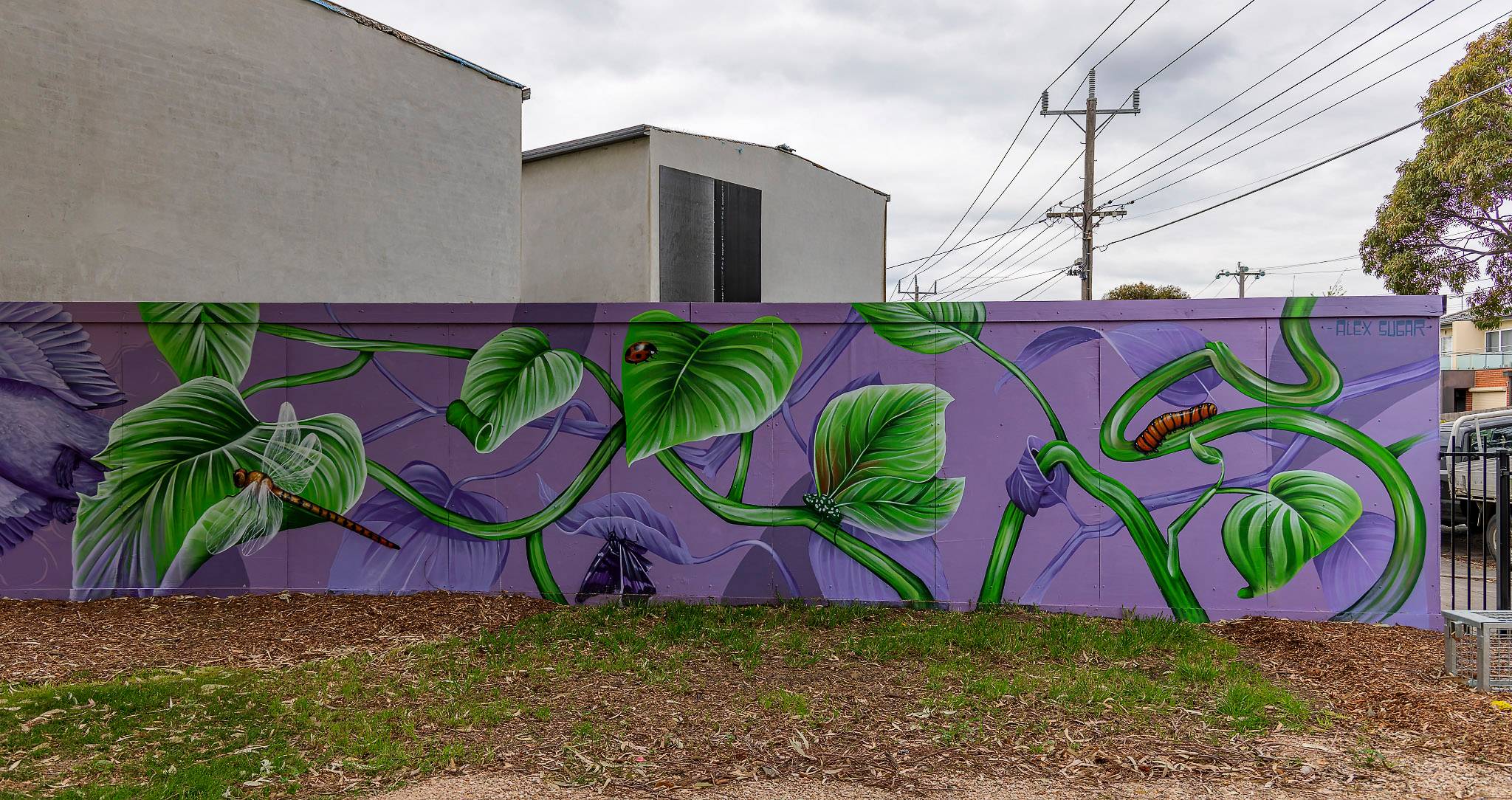 Alex Sugar&mdash;Fisher Reserve Playground - Mural 2