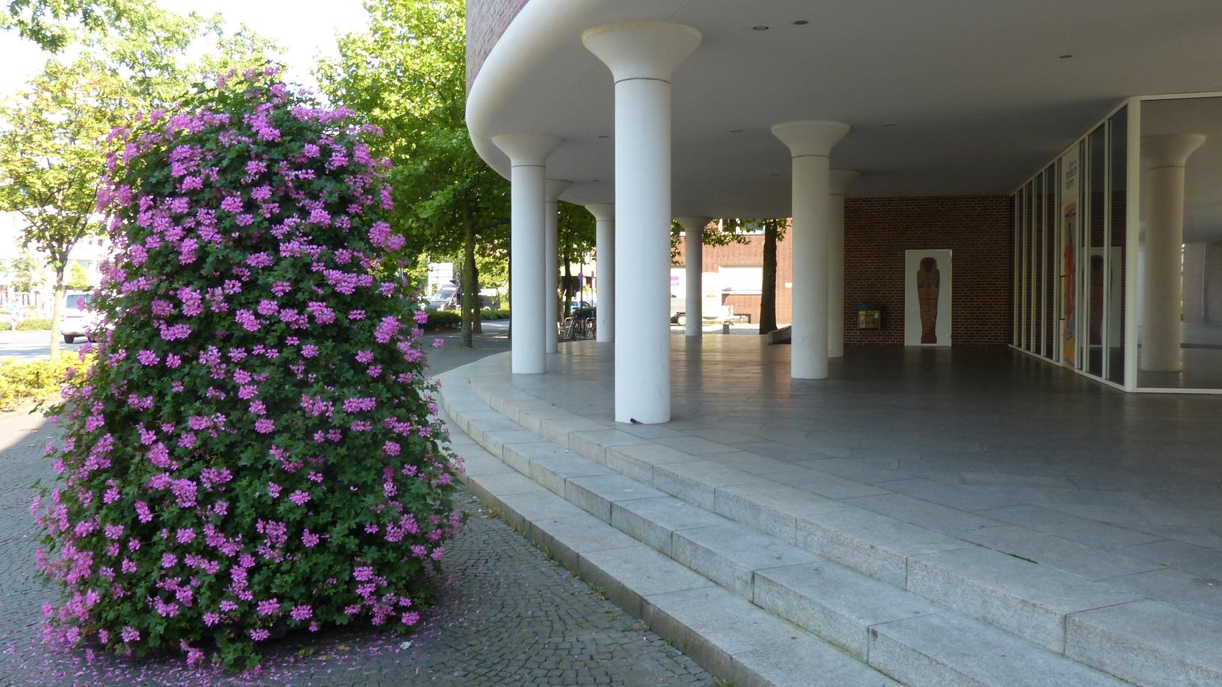 —Gustav Lübcke Museum