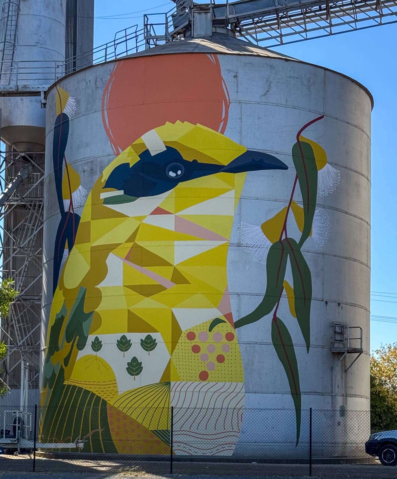 Ronan Holdsworth—Rutherglen Silos - Birds of Seasons