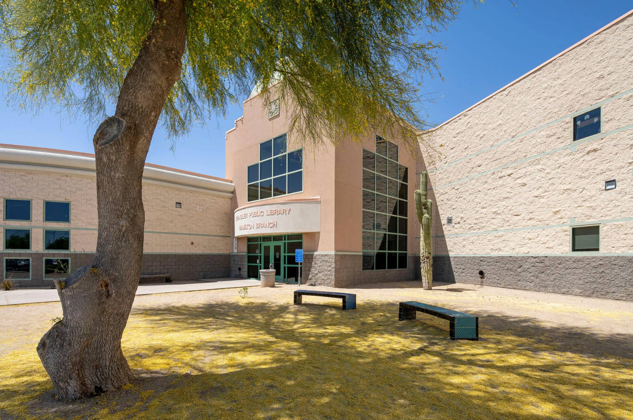 Susan Berzelius, Steven Fitch, Kathleen Escobedo, Alvin Pace, Ted Wolter&mdash;Hamilton Library - Benches