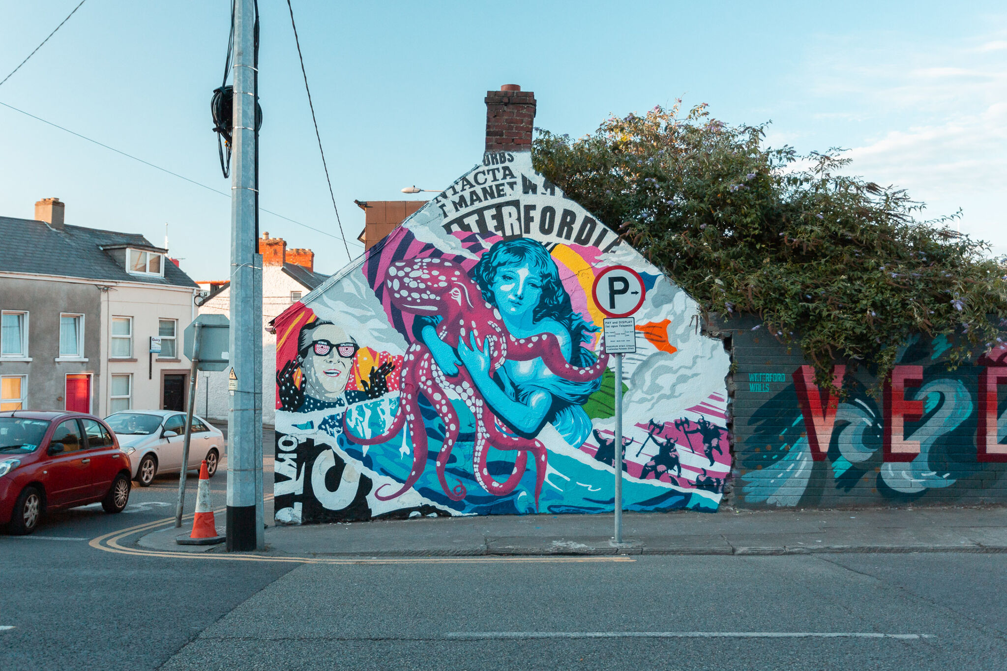 Garreth Joyce&mdash;Waterford Walls 2019