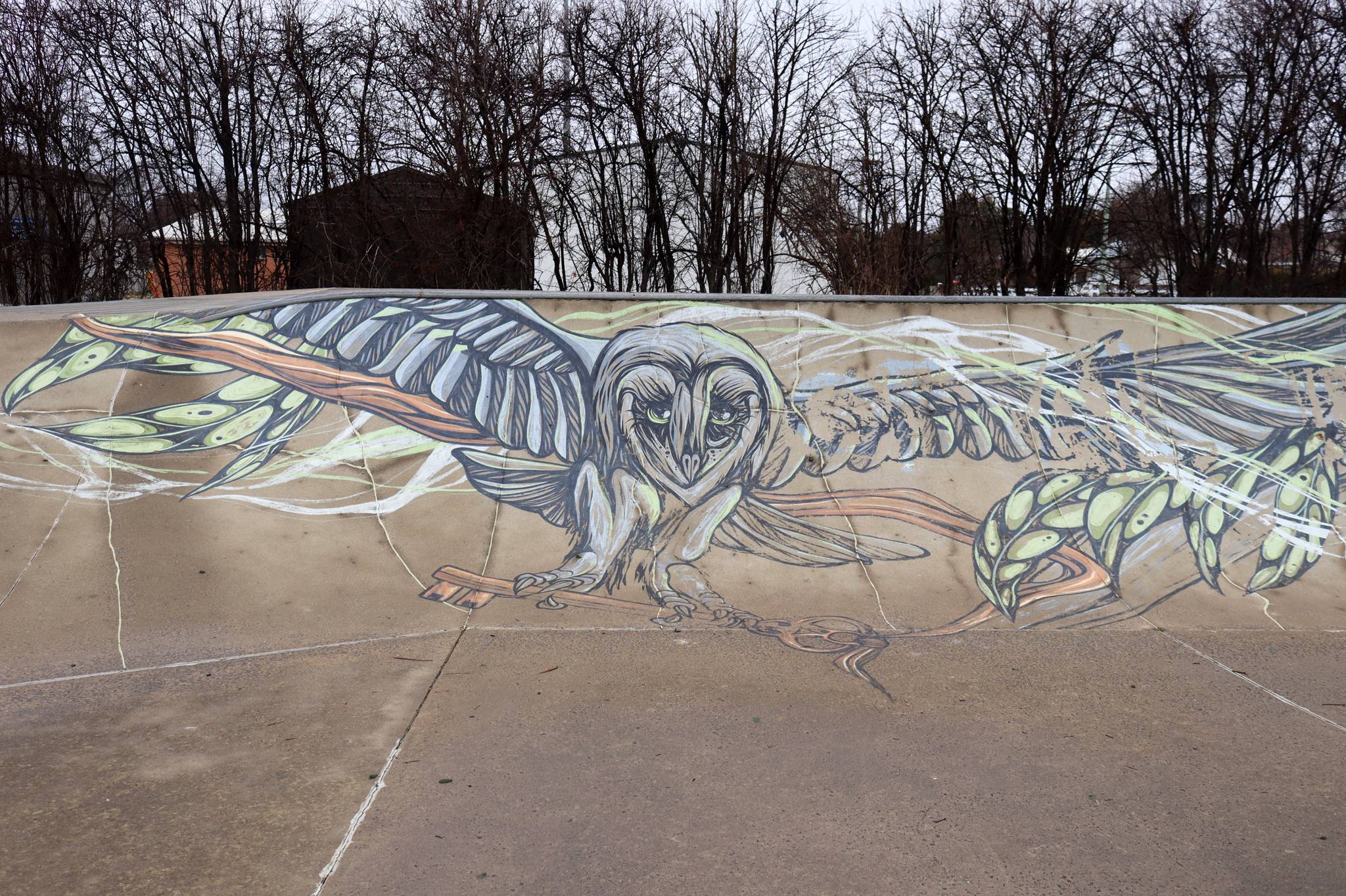 Mike Shankster&mdash;Berridale Skatepark