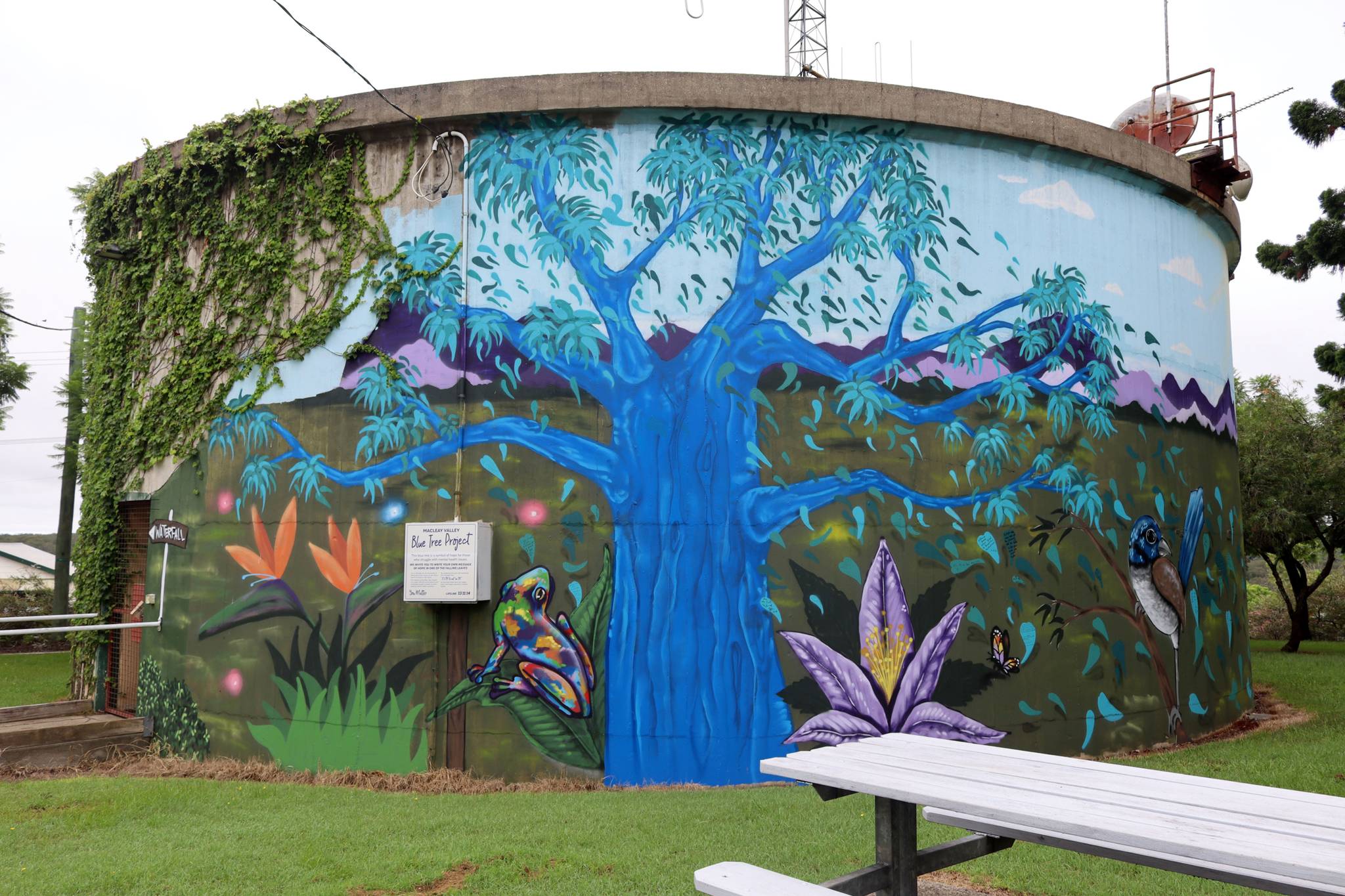 Damon Moroney&mdash;Macleay Valley Blue Tree Project