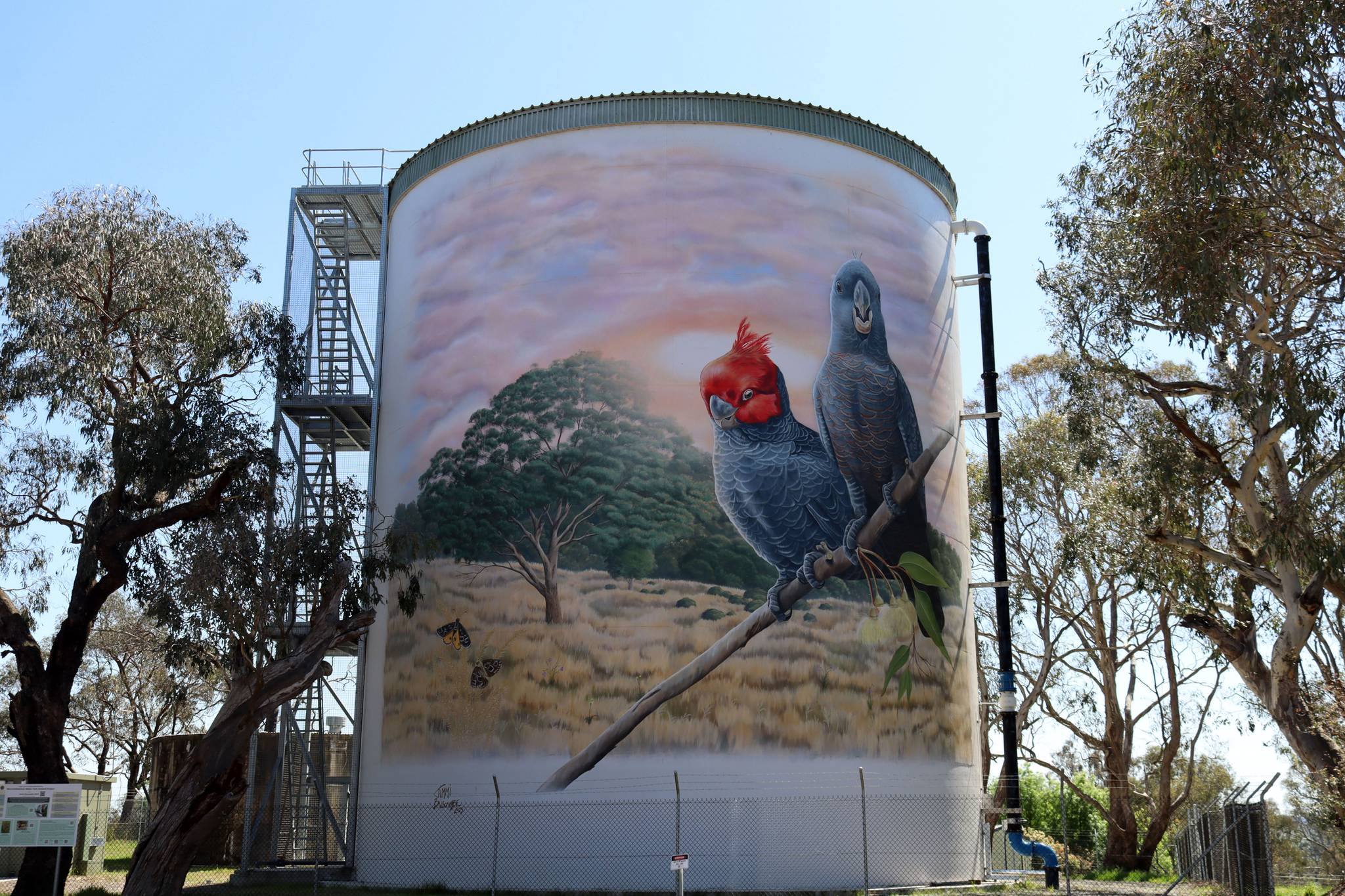 Jimmi Buscombe&mdash;Murrumbateman Water Tank