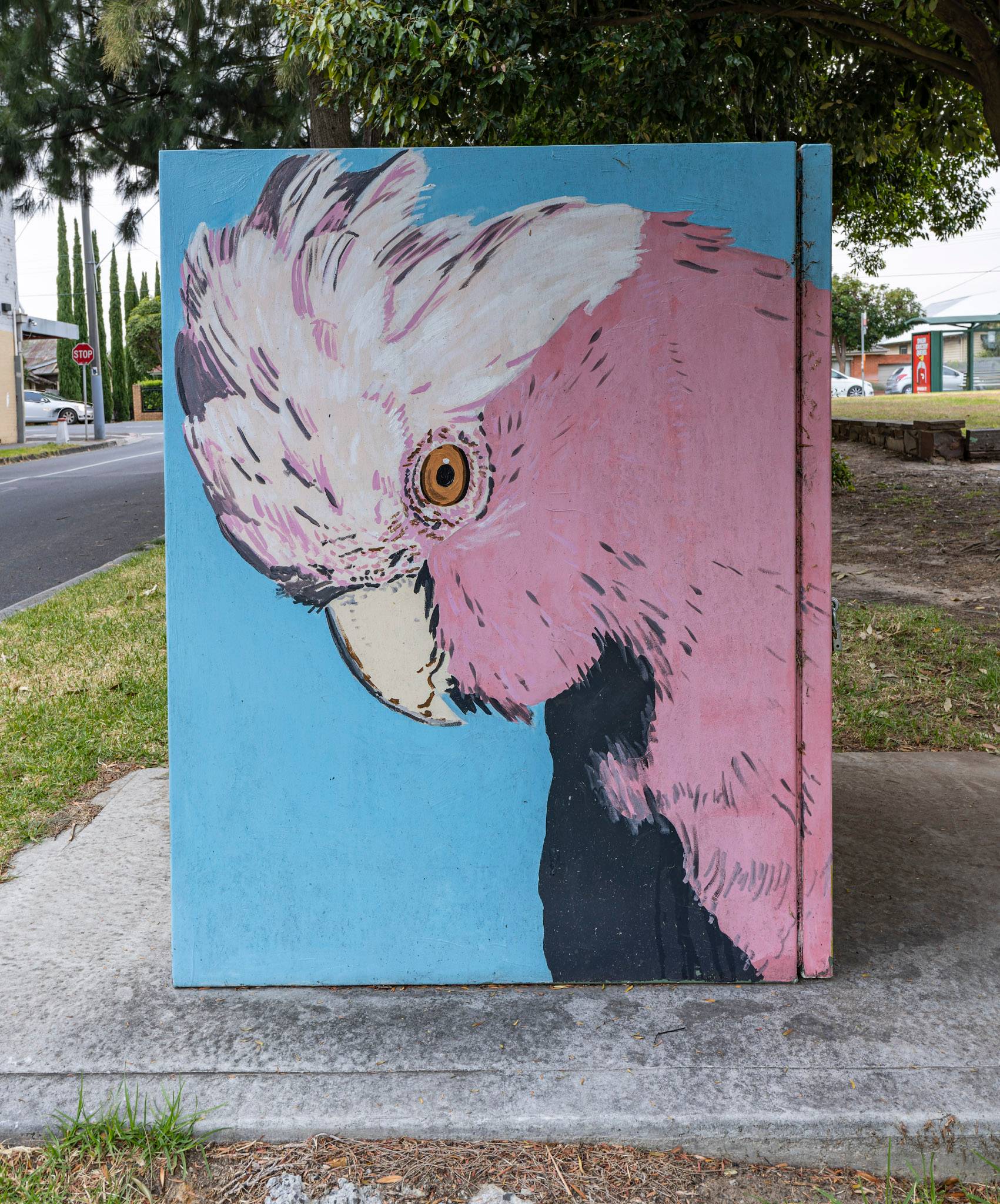 Tony Sowersby&mdash;Galah