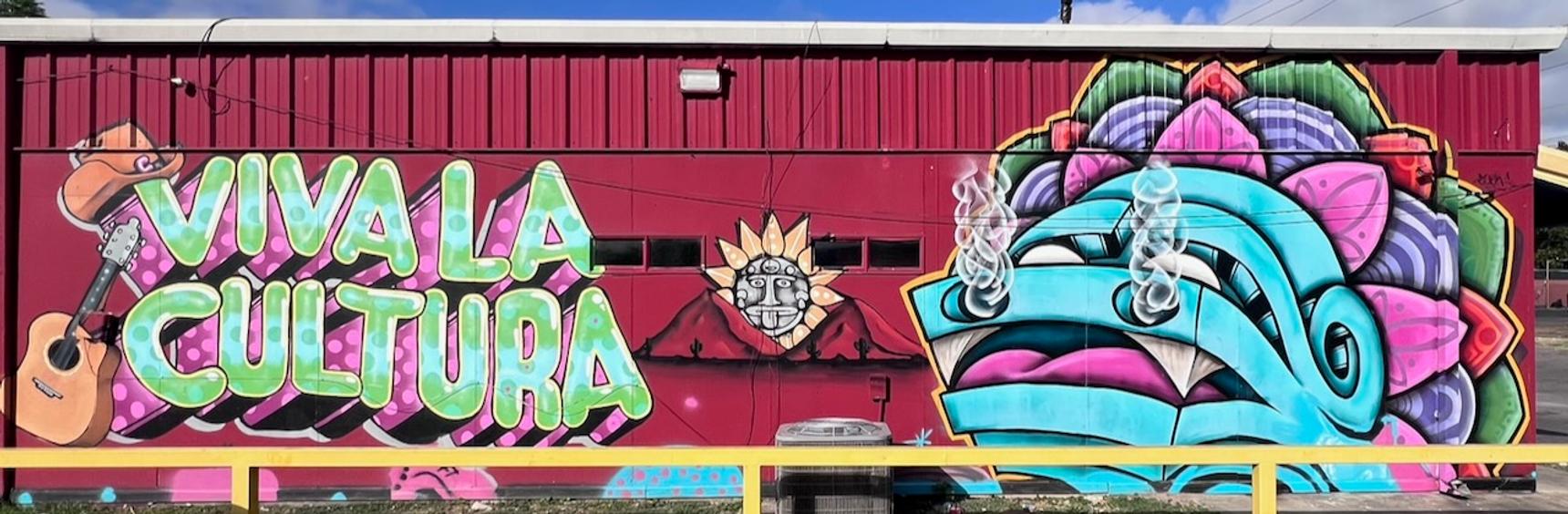 Unknown - Austin—Viva La Cultura