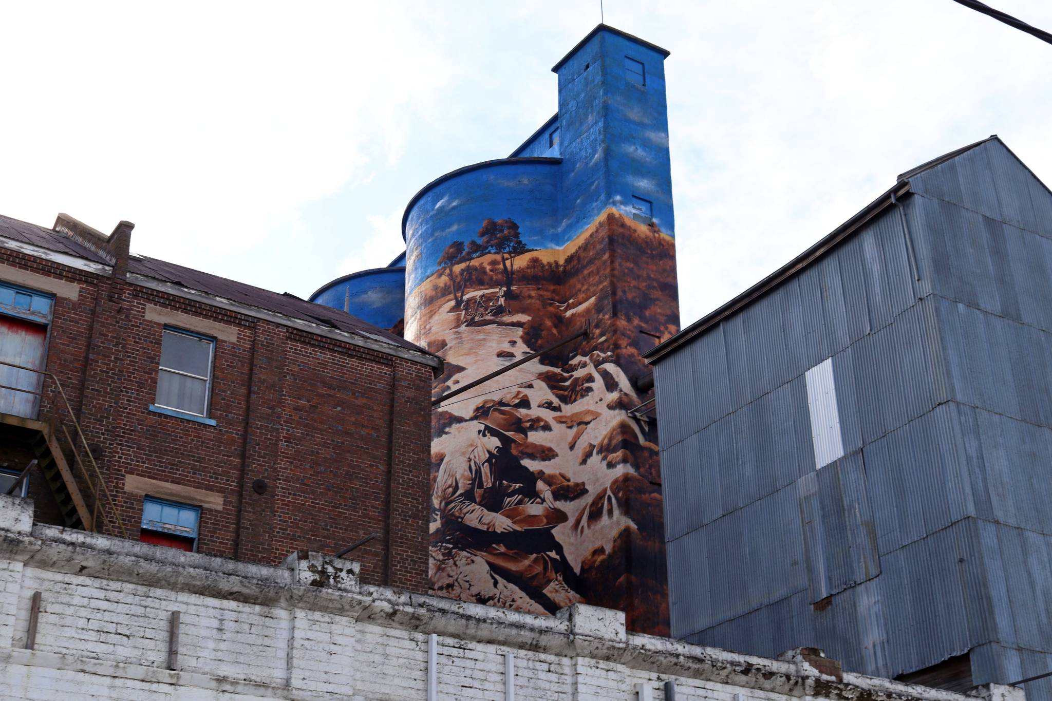 Heesco&mdash;Murrumburrah Mill Silo Art Stage 2