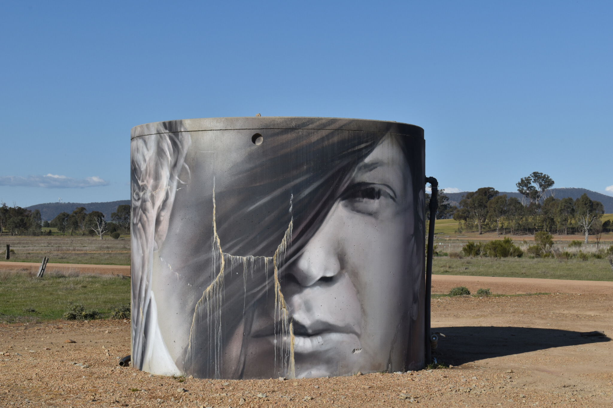 Australian Silo Art Trail, Guido van Helten&mdash;CFA Water Tank - Winton Wetlands
