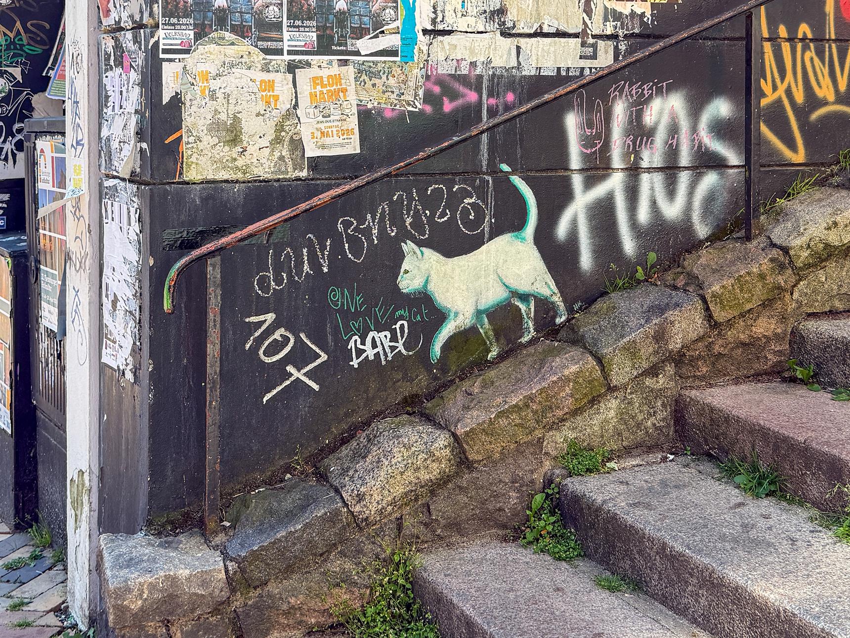 N.M.—Weiße Katze