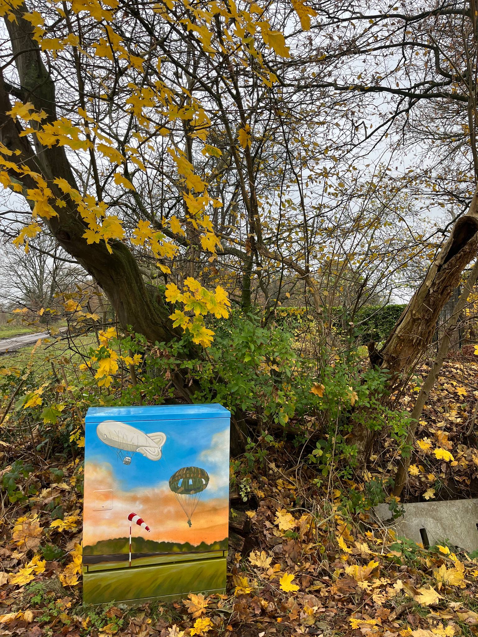 Painting bear&mdash;Tour Elentrik - Vliegveld van Schaffen