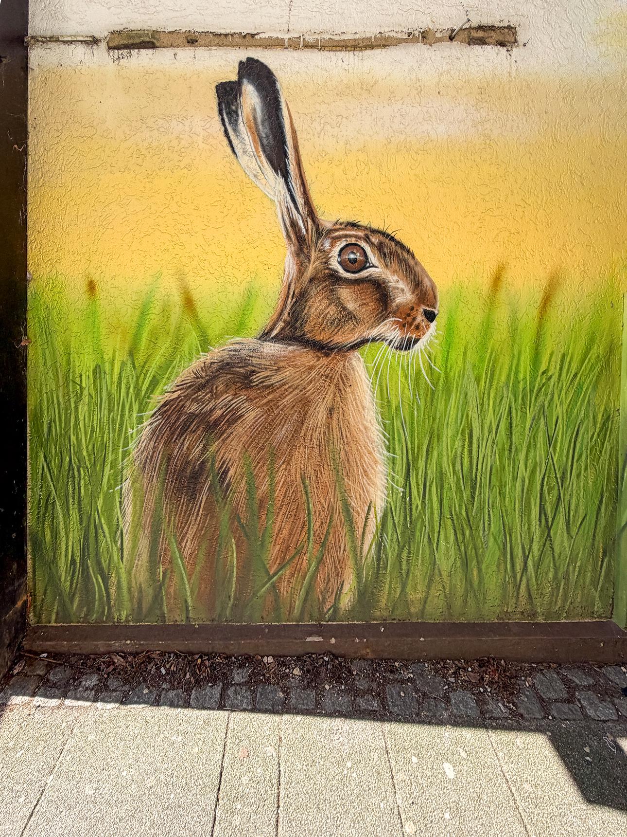 BeNeR1—Animals