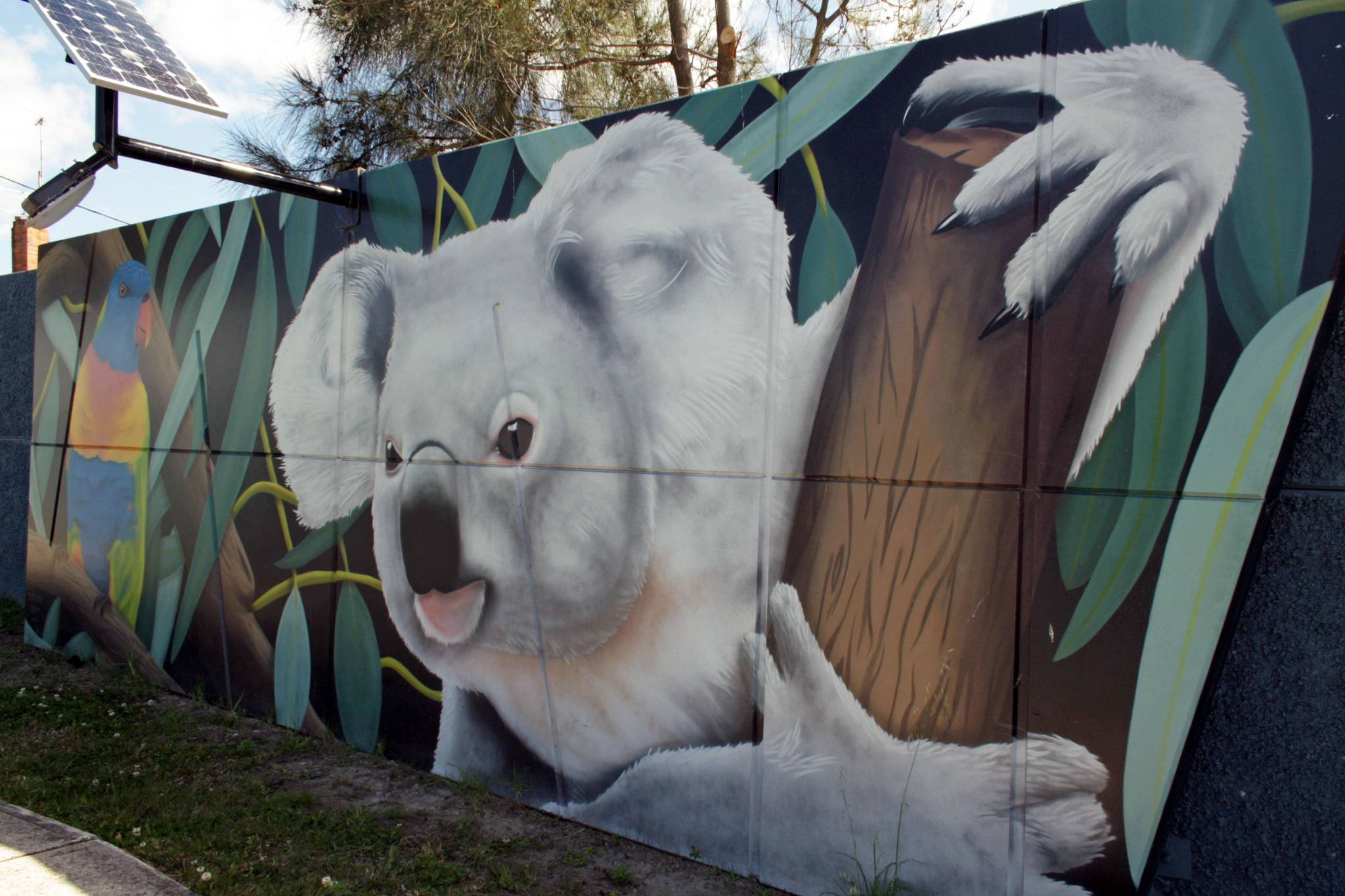 Urban Art Australia&mdash;Wildlife