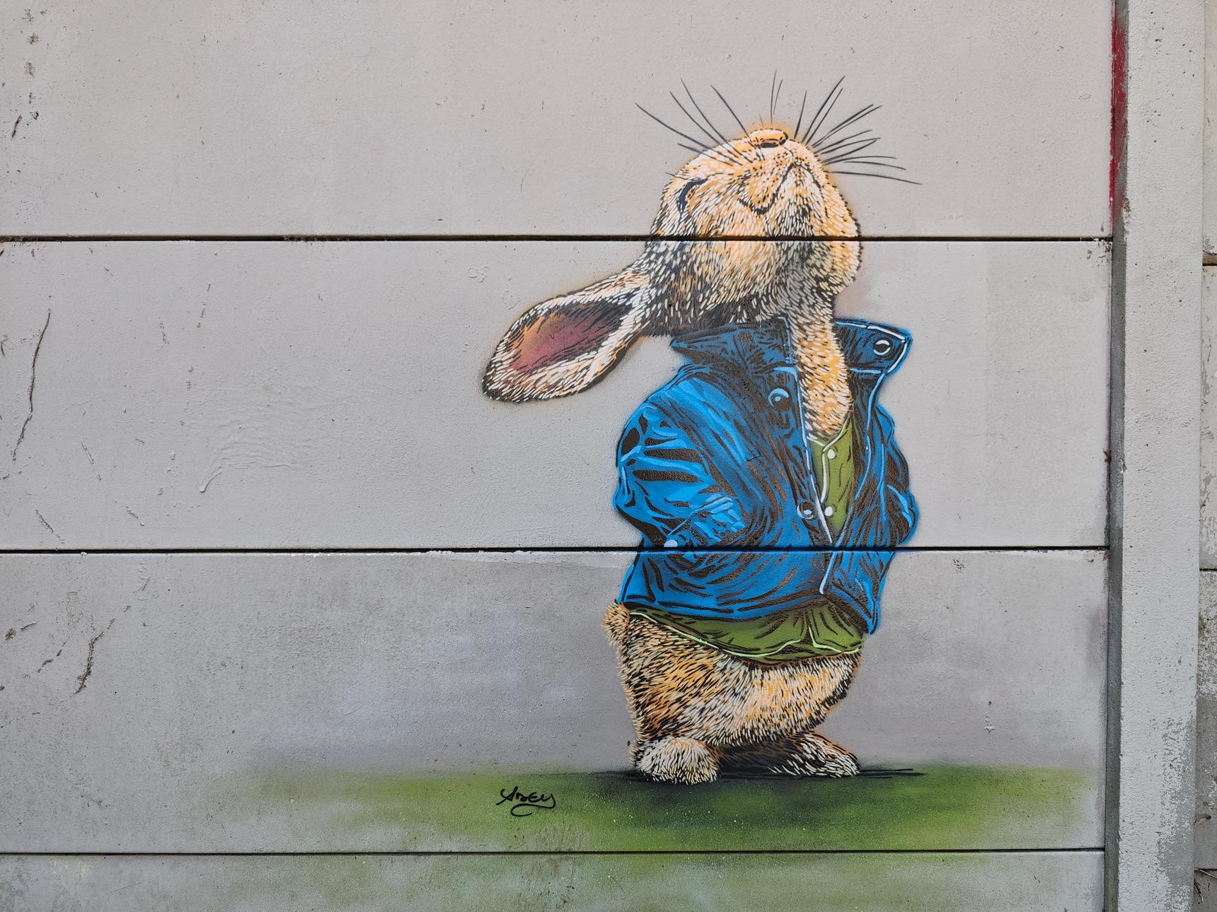 Adey—Rabbit