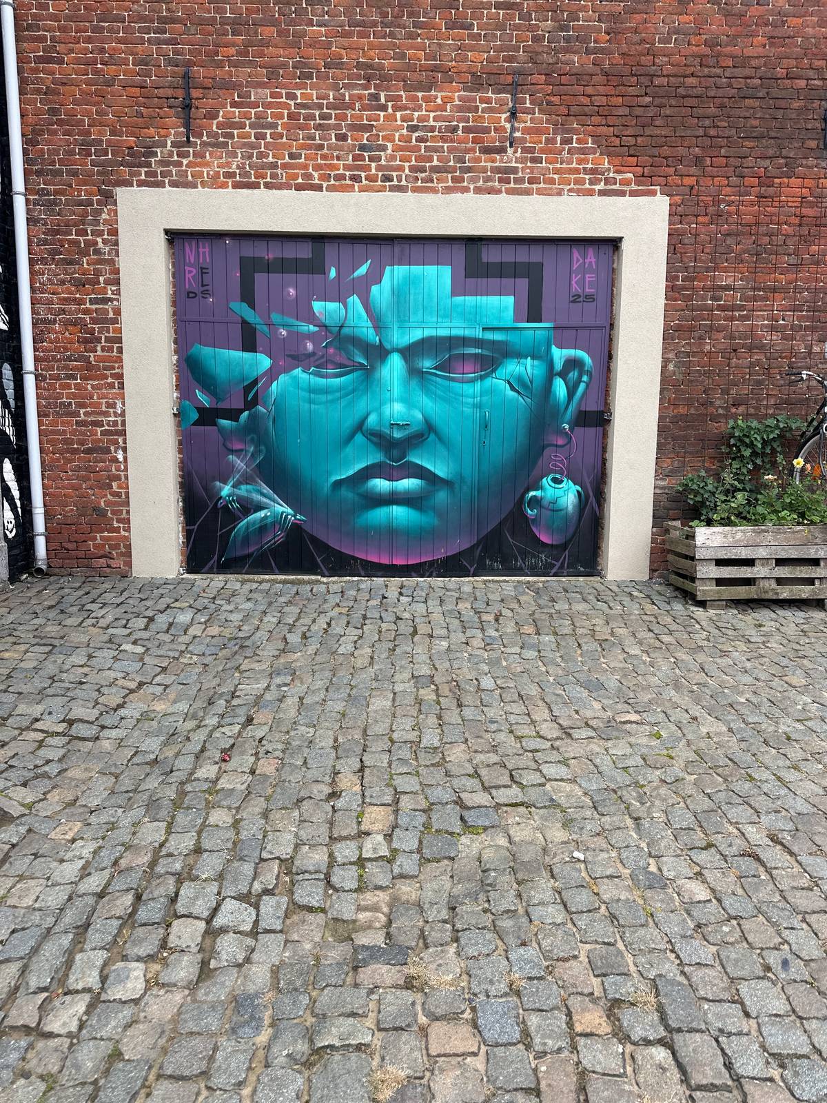 Dake25—Face