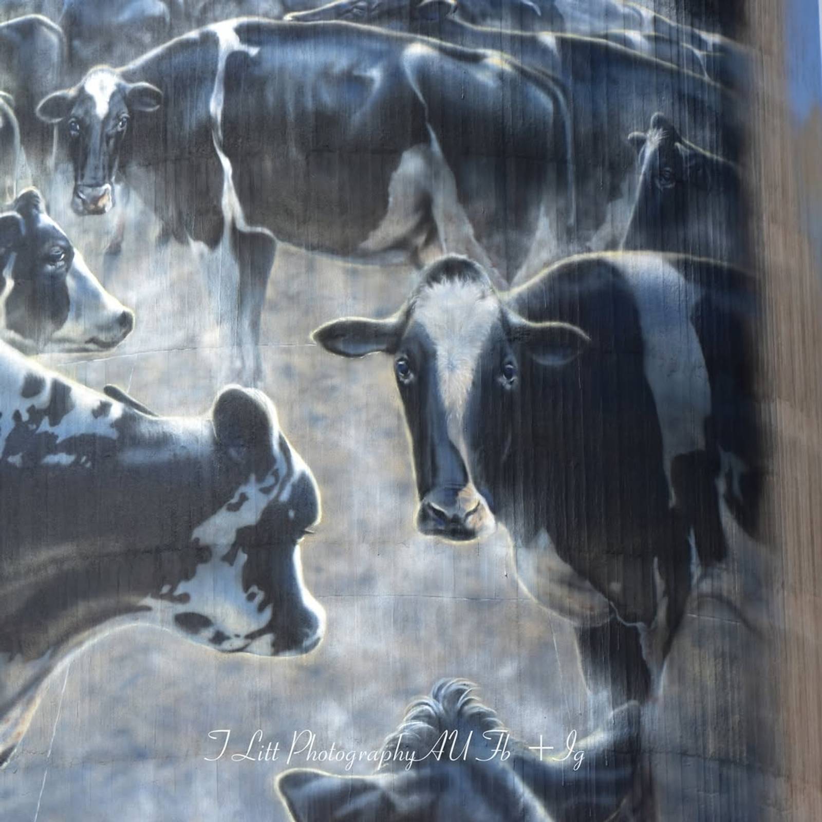 Tim Bowtell—Waaia Silo Art - Silo 1
