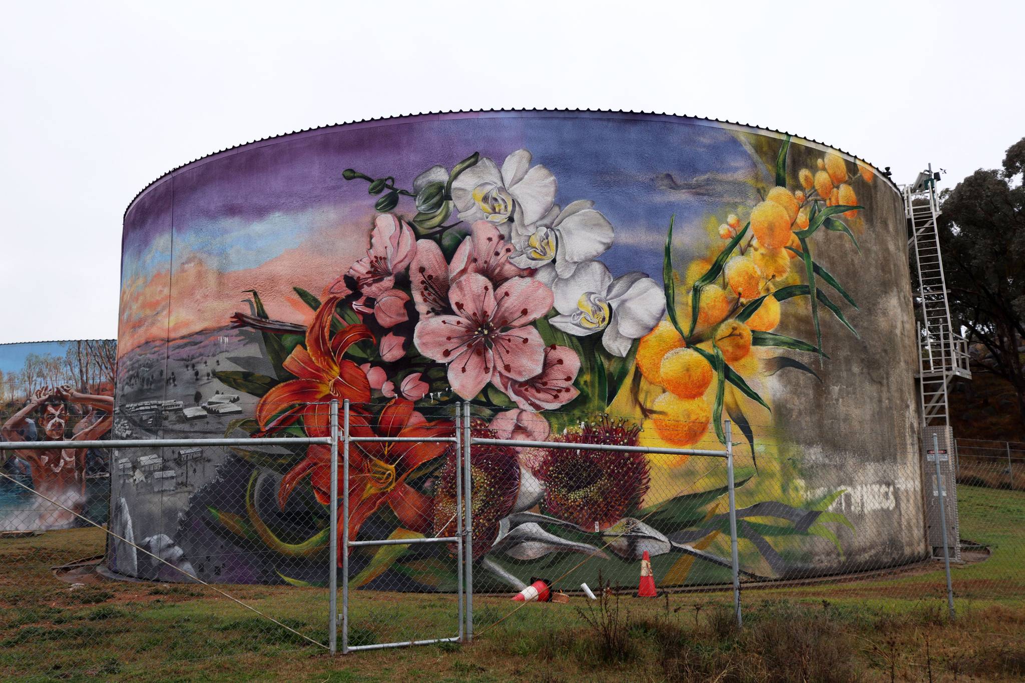 Drapl, The Zookeeper, The Brightsiders&mdash;Cowra POW Water Tank Mural