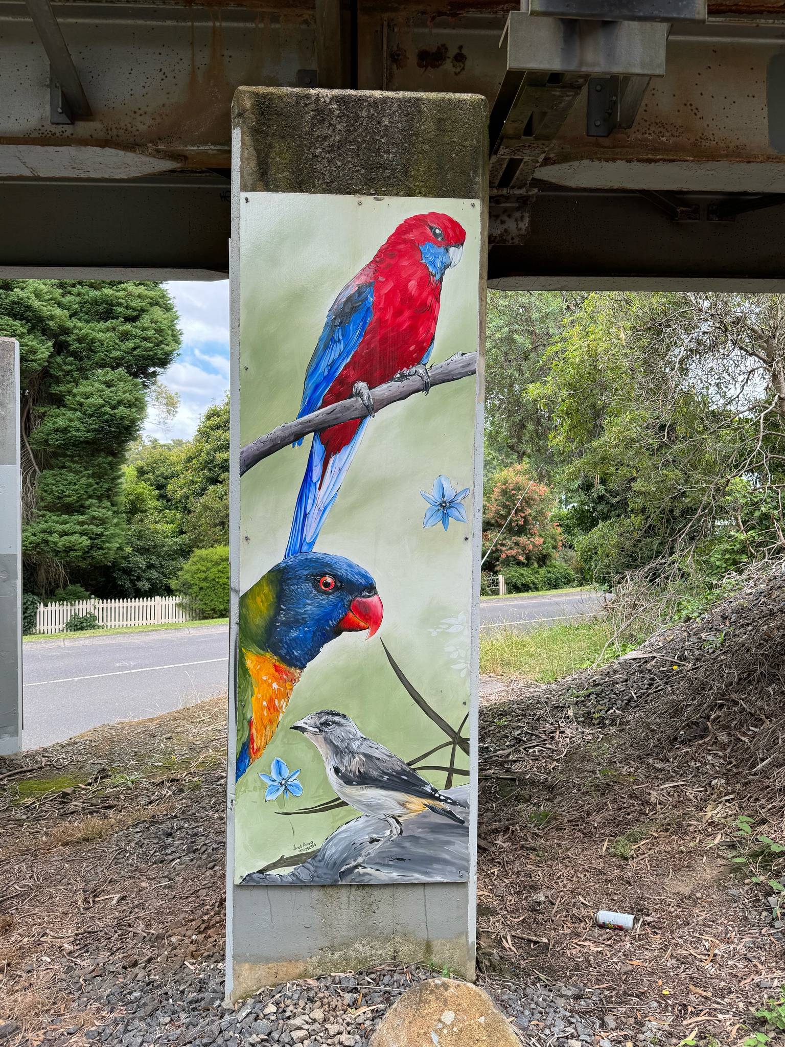 Jacob Arnold&mdash;Crimson Rosella / Rainbow Lorikeet