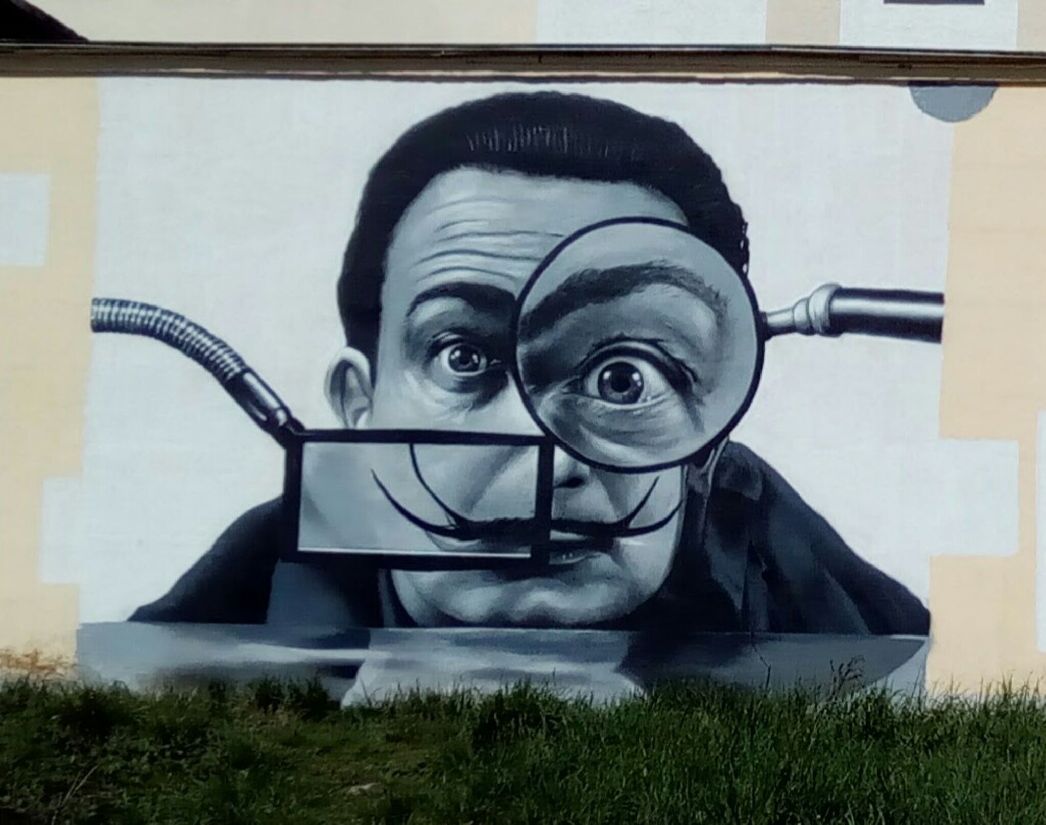 HoodGraffTeam&mdash;Сальвадор Дали \ Salvador Dali