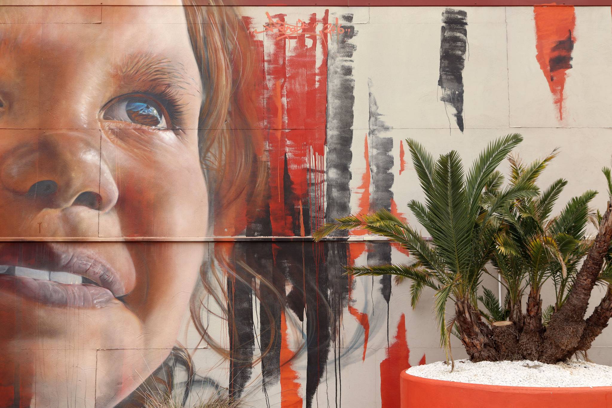 Adnate&mdash;Past, Present, Future