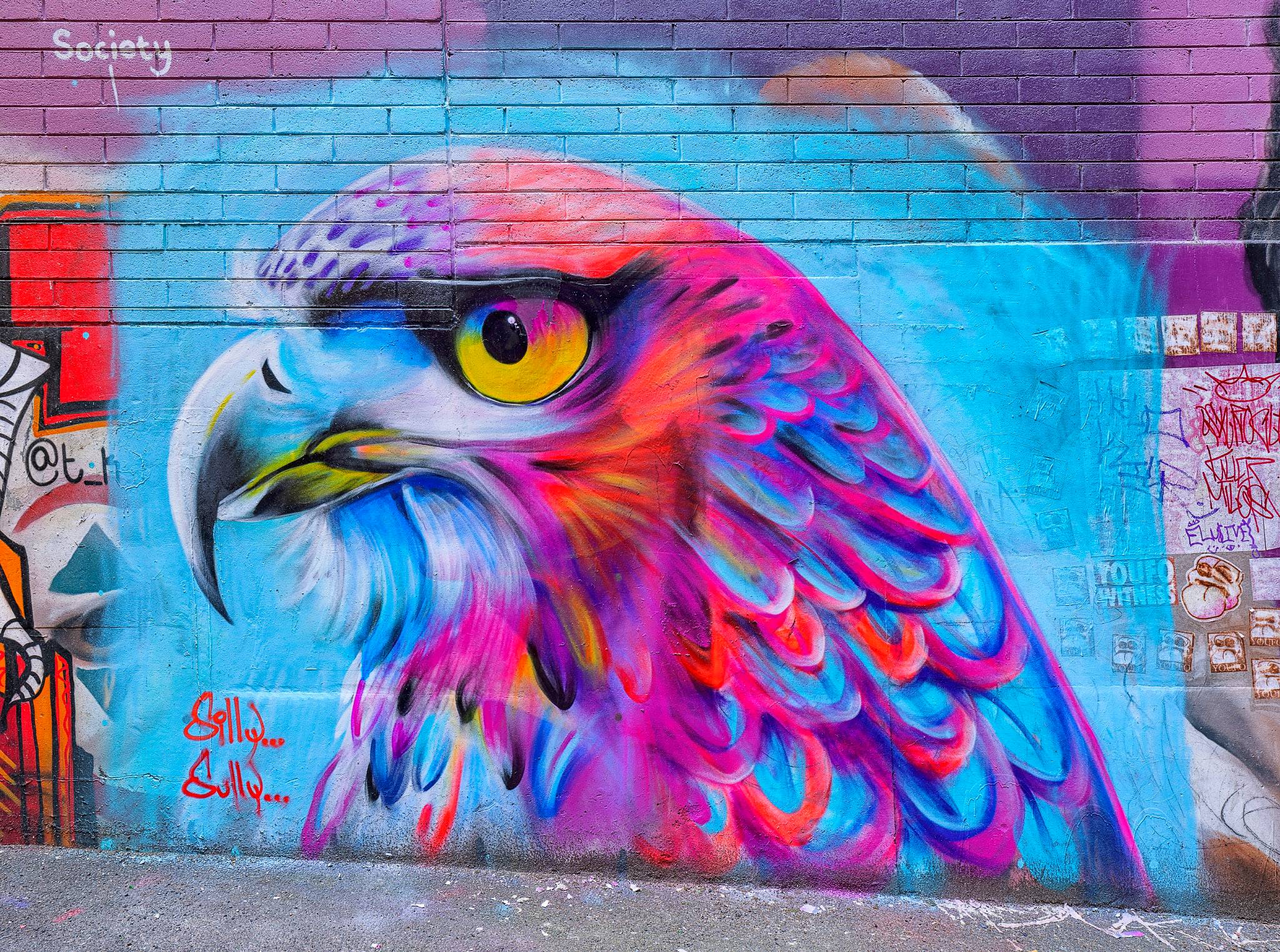 Silly Sully&mdash;Chromatic Falcon