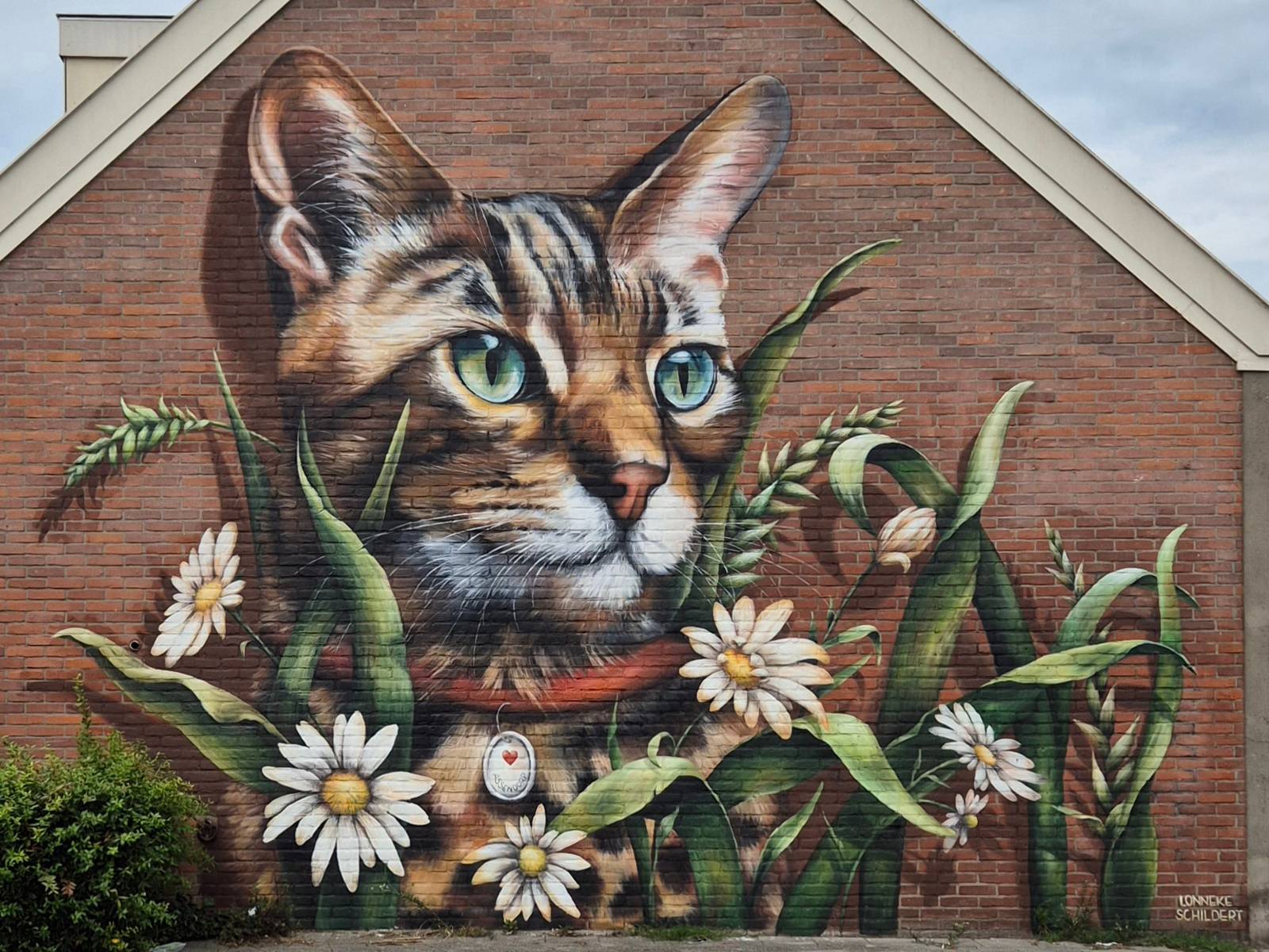 Lonneke van Zutphen—Ode to the Assendorper Cats