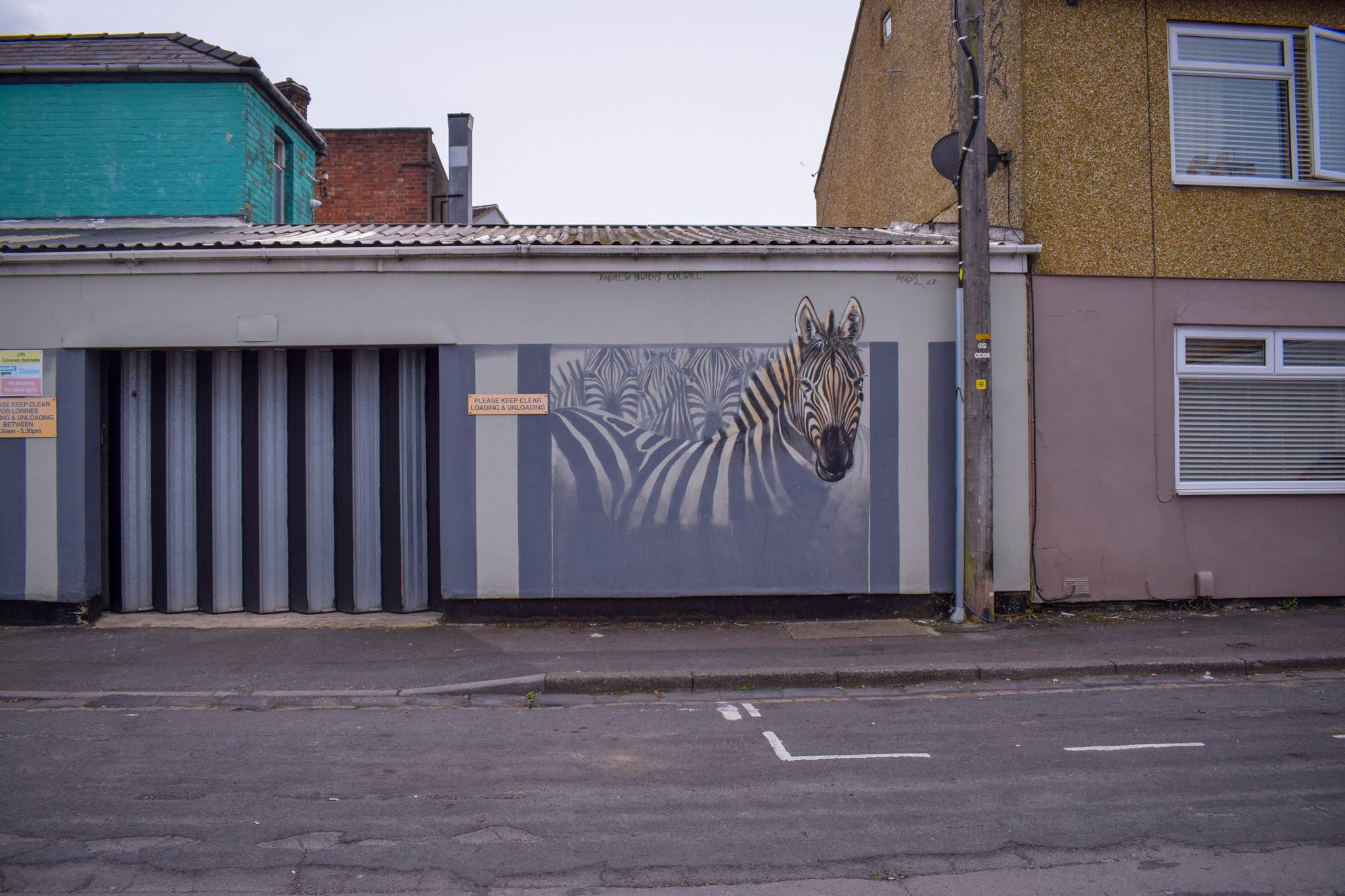 Andrew Burns Colwill&mdash;Zebras