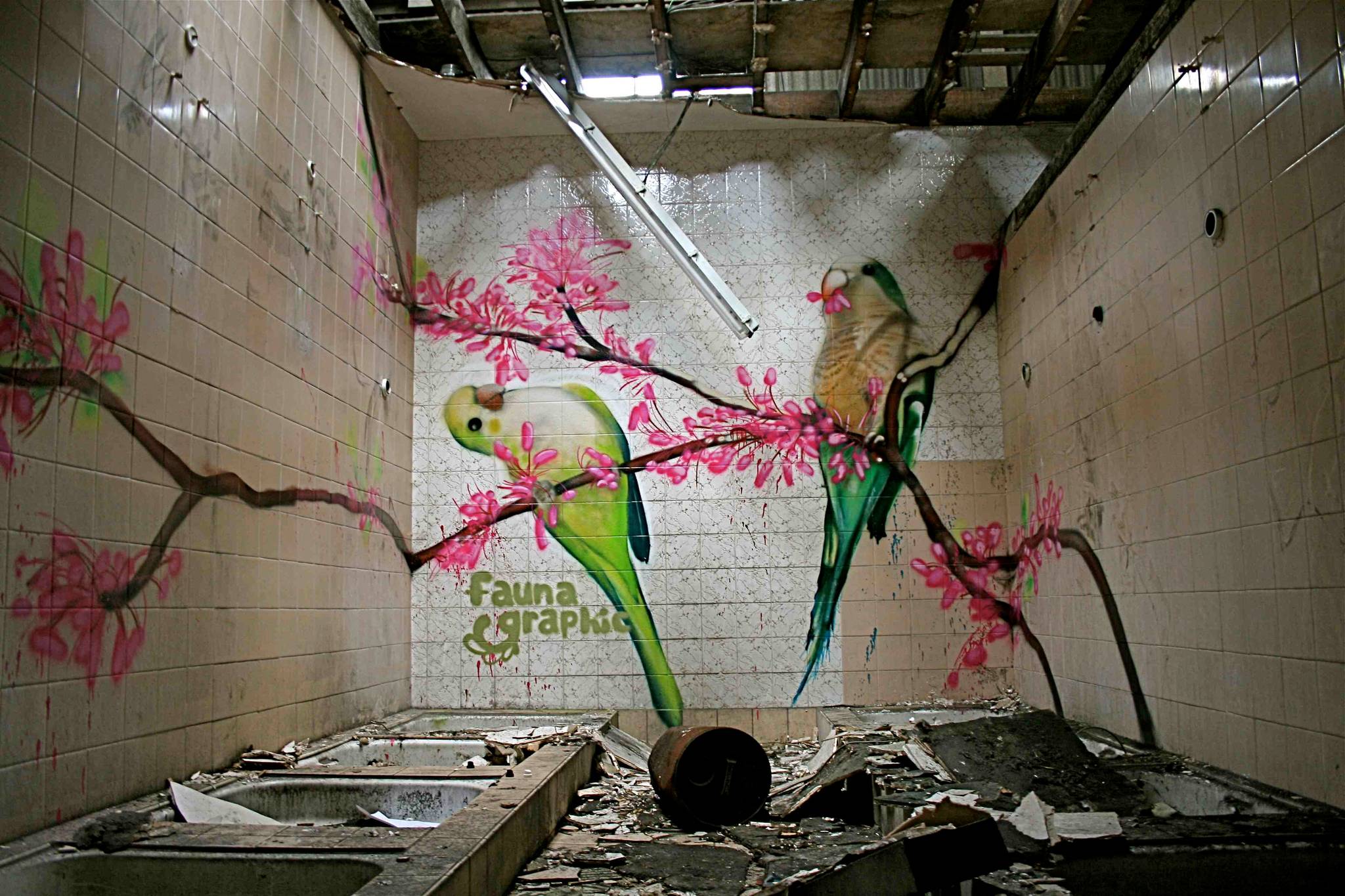 Faunagraphic&mdash;Parrots in the Shower