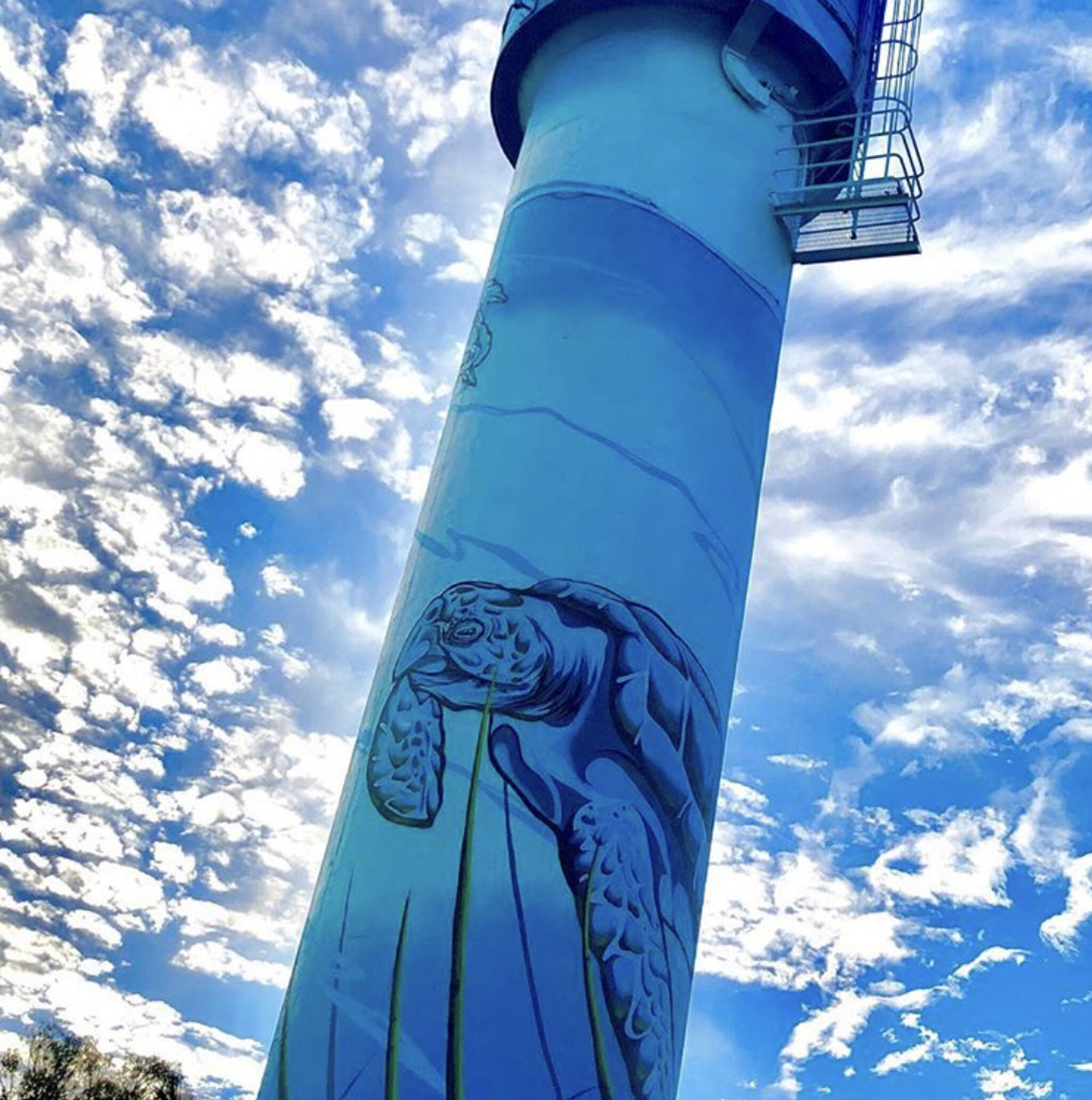 Australian Silo Art Trail, Street Art Murals Australia&mdash;Bongaree Water Tower Art