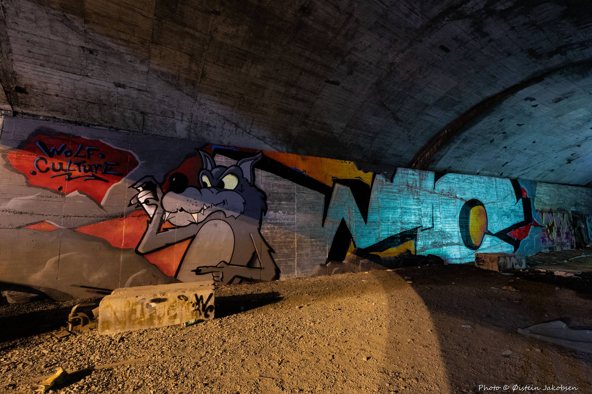 &mdash;The Tunnel at Møhlenpris