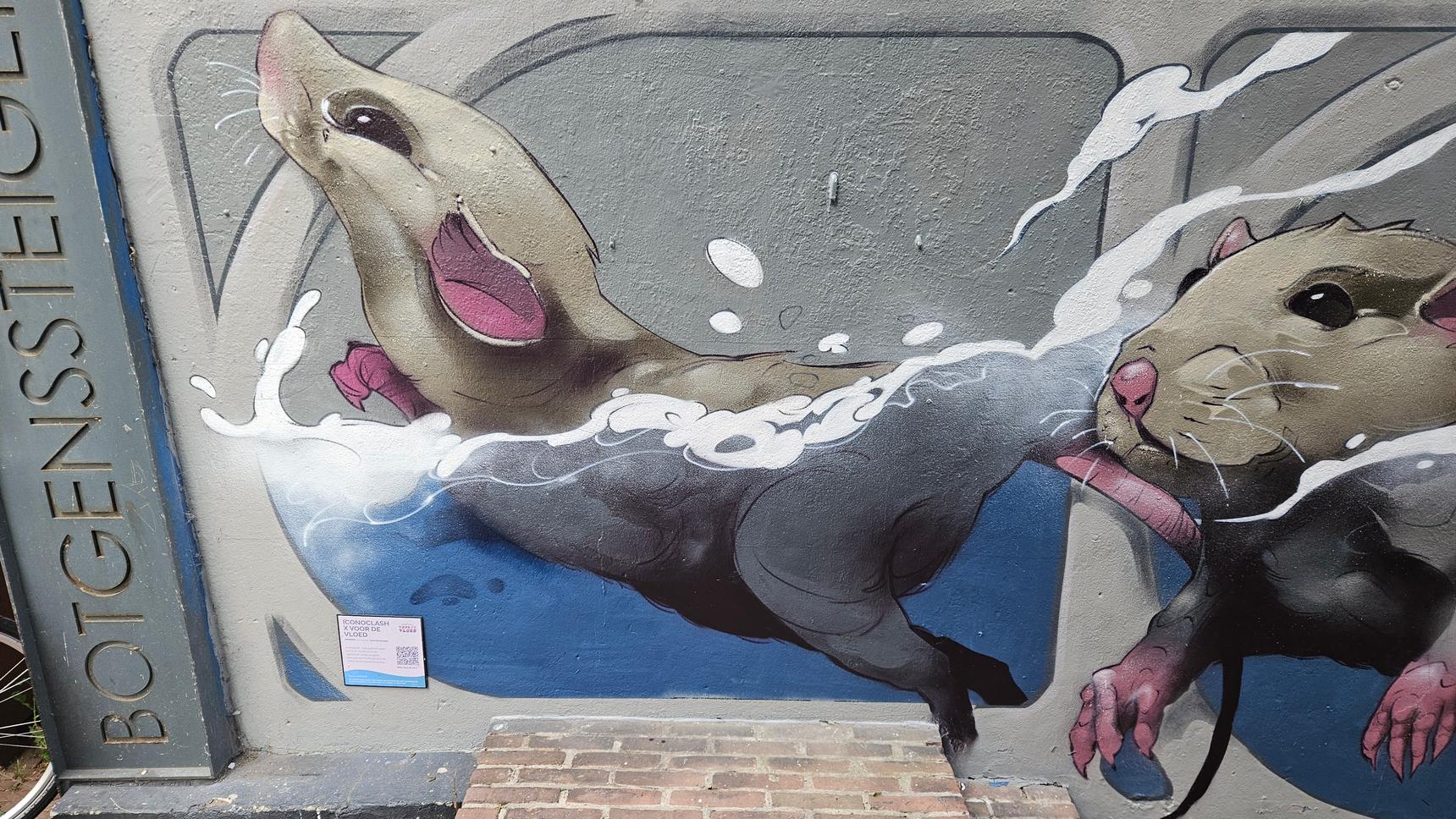 Simian Switch—Unknown-Dordrecht