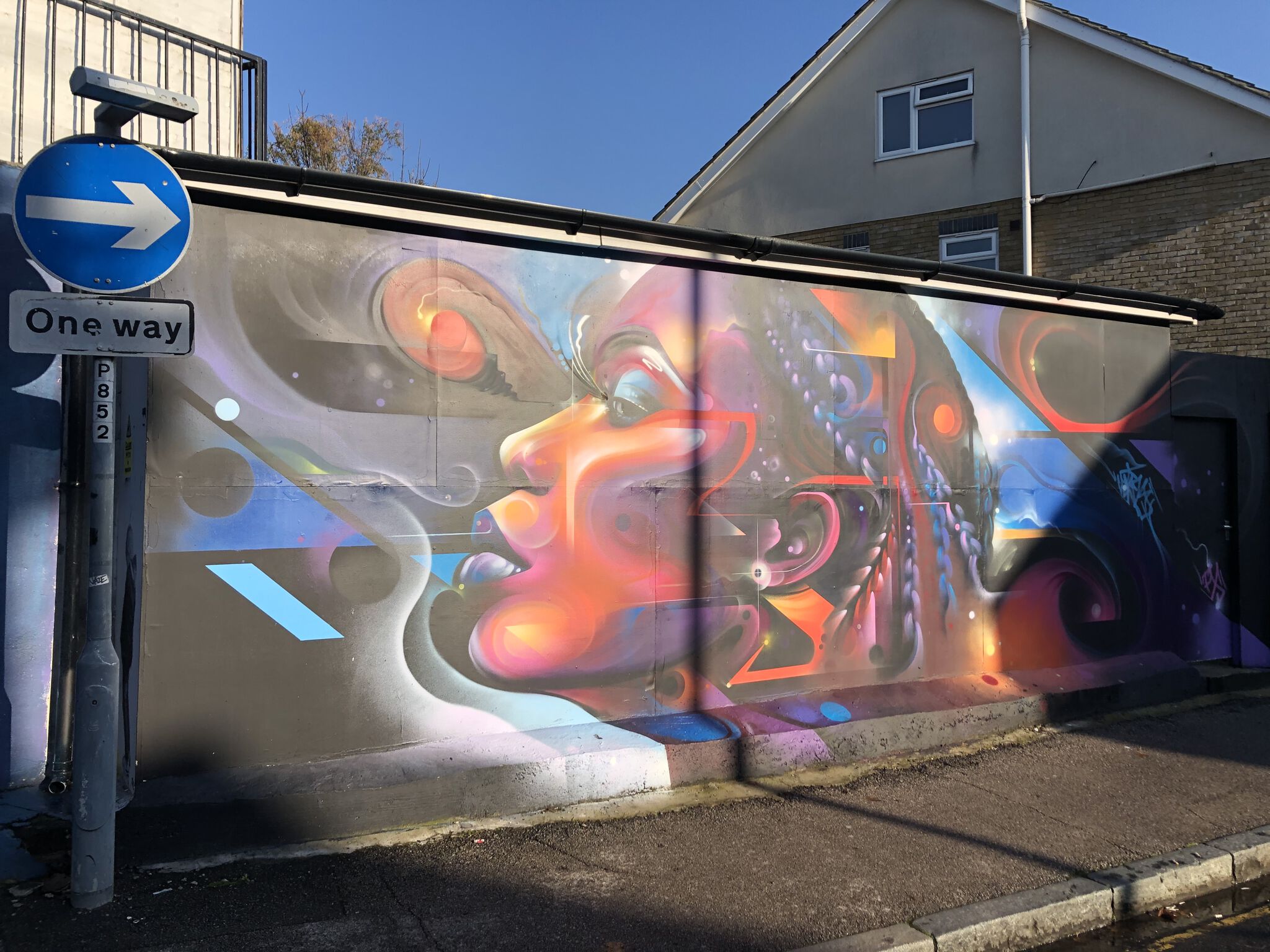 Mr Cenz&mdash;Stunning Lady Mural