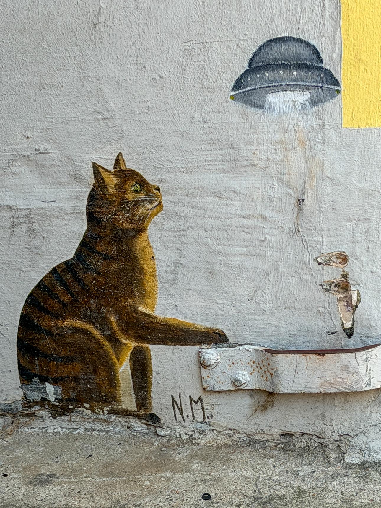 N.M.—Katze mit Ufo
