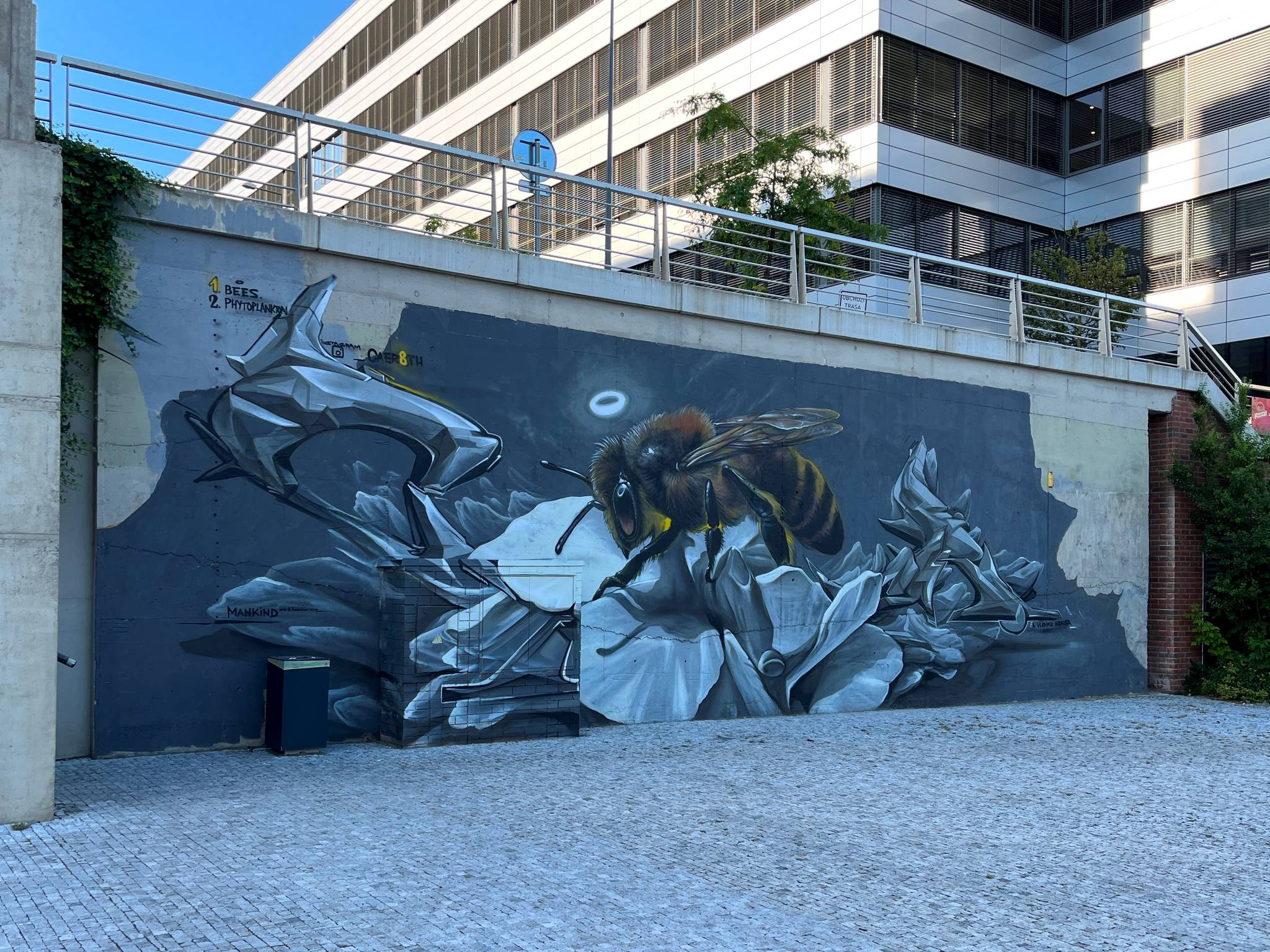 Caer8th&mdash;Bee on concrete flower