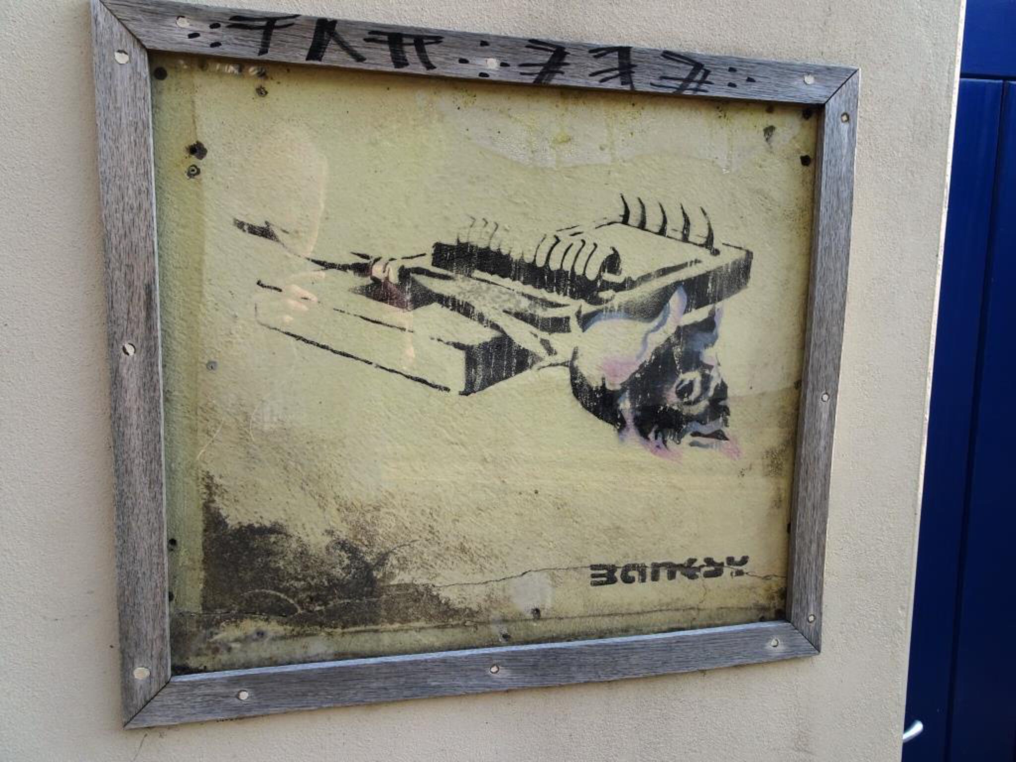 Banksy&mdash;Rose Trap