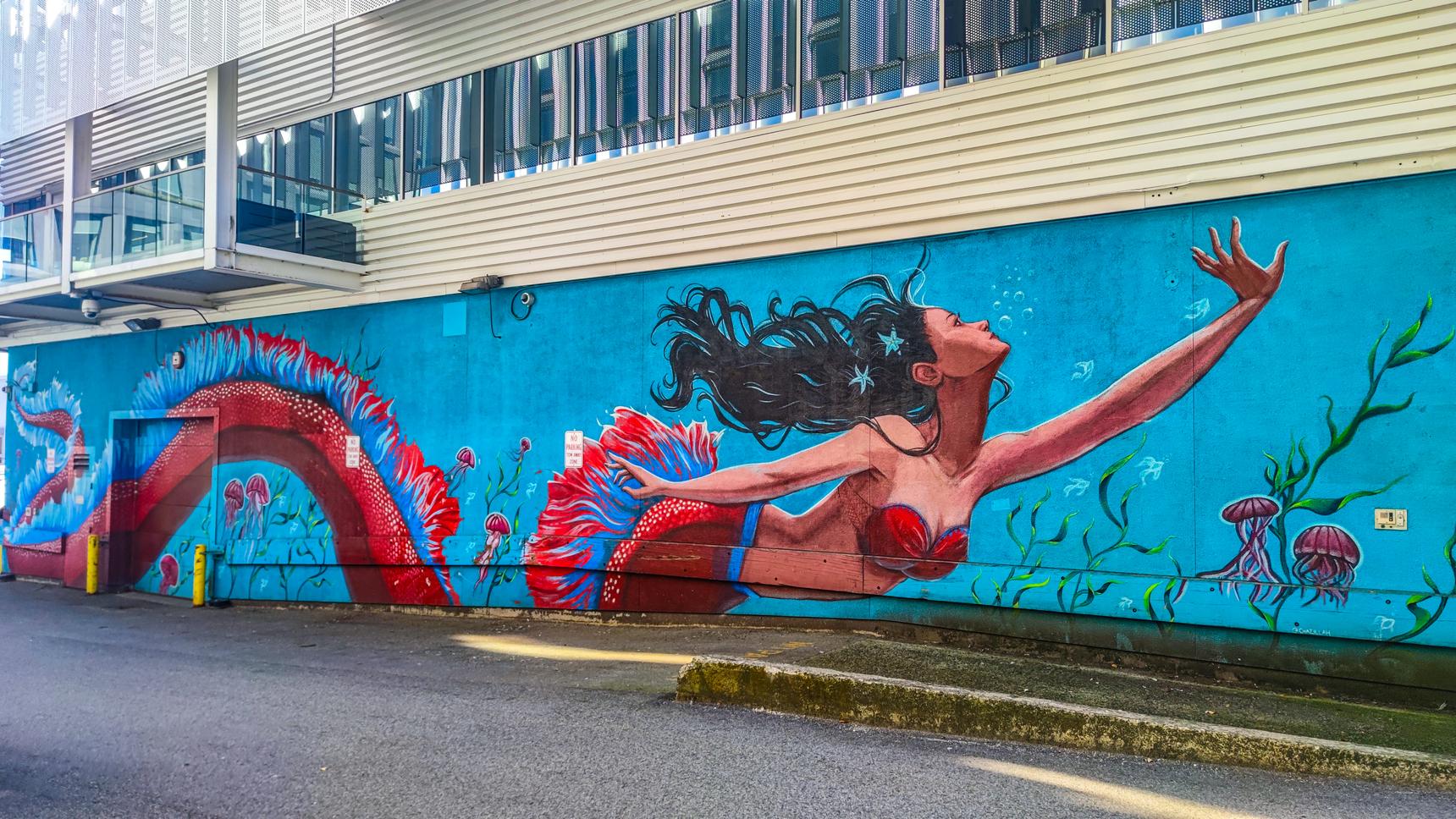 Amanda Smart, Bronwyn Schuster, Lani Imre, Tia Rambaran—Lady Mermaids