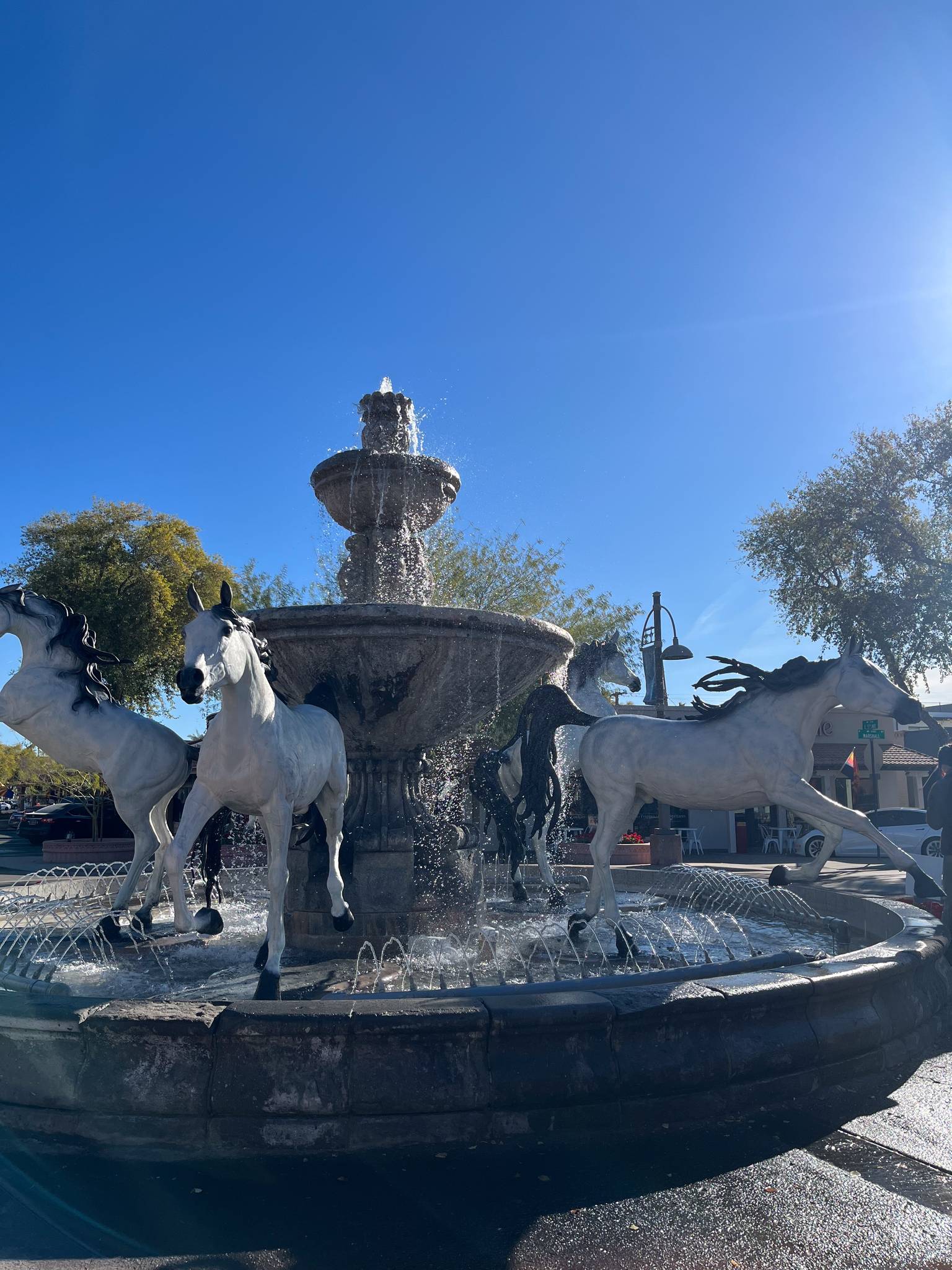 Bob Parks&mdash;Bronze Horse Fountain