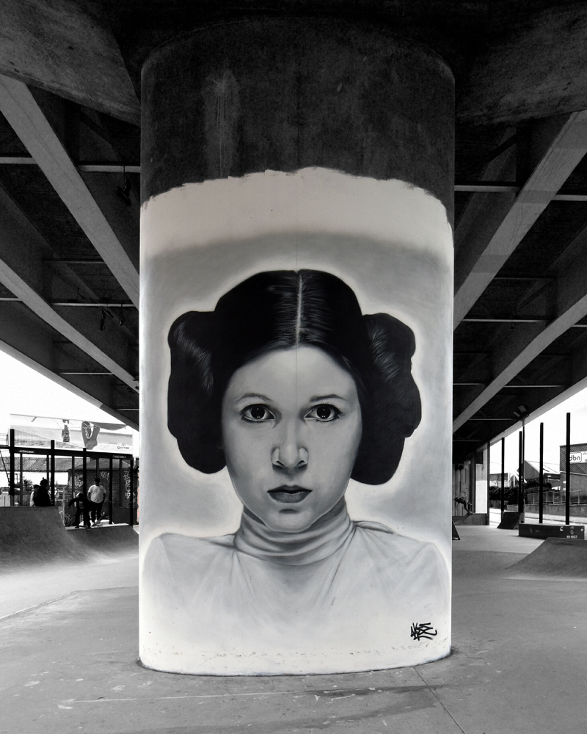 Akse&mdash;Carrie Fisher 
