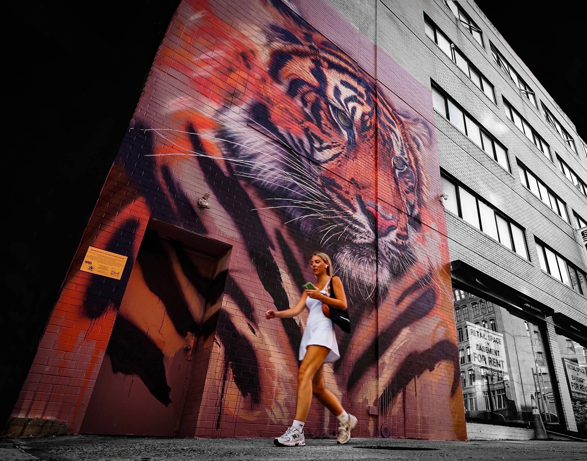 Sonny Sundancer&mdash;Beautiful Tiger
