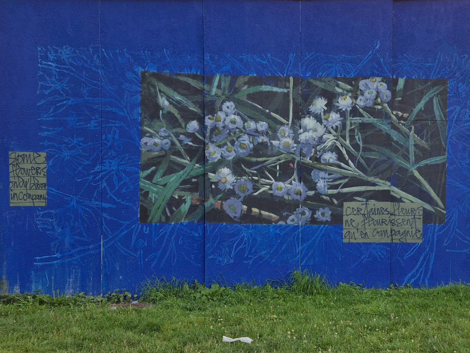 Bryan Beyung, Hera of Herakut—'SOME FLOWERS ONLY BLOOM IN COMPANY'