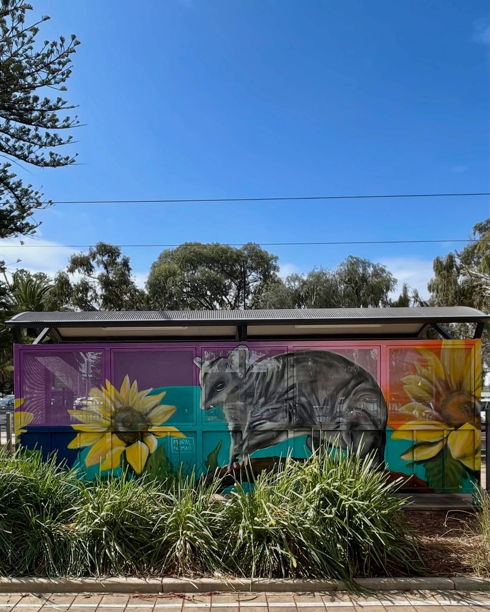 Mural Nomad&mdash;Brushtail possum