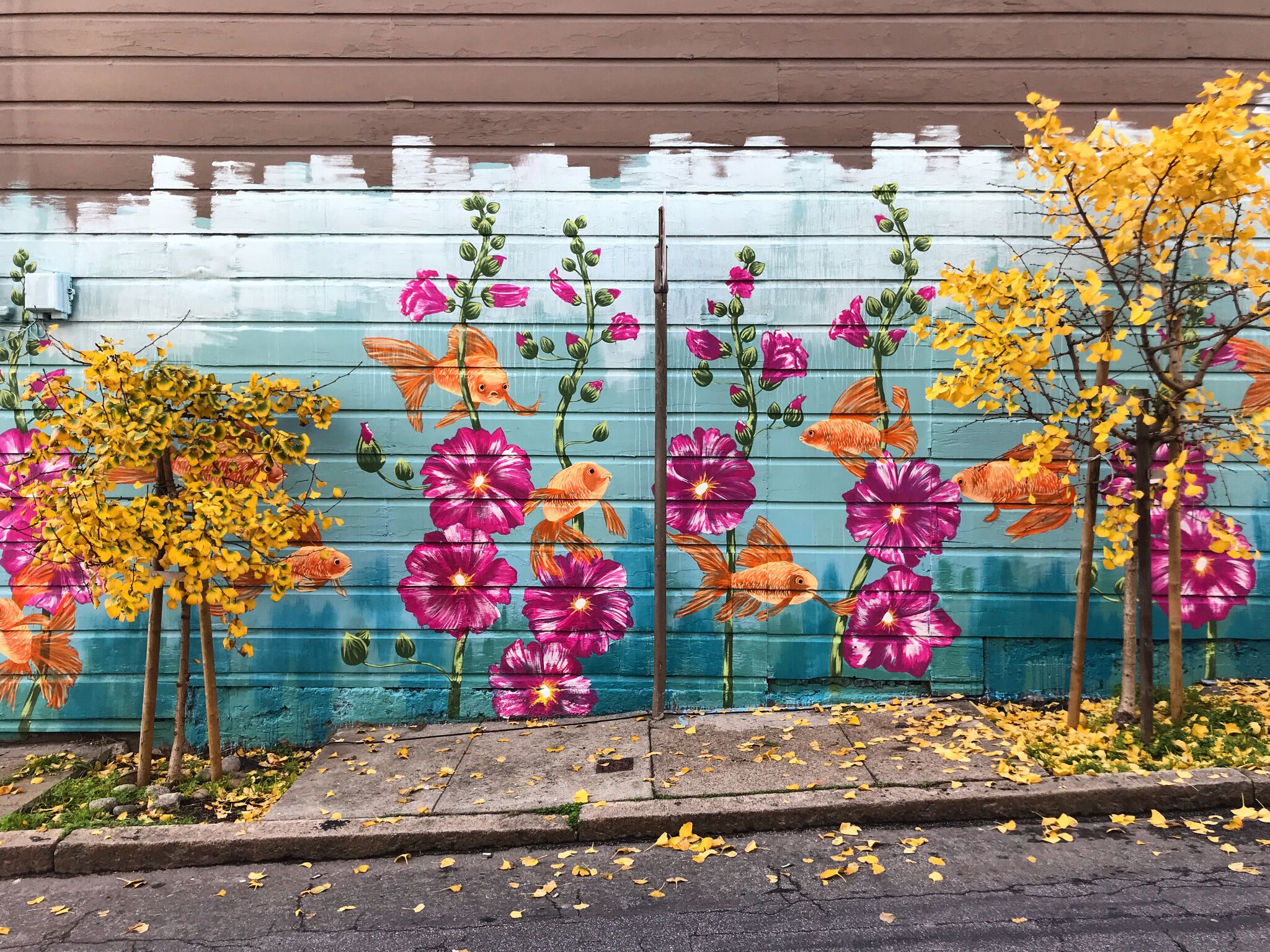 Unknown - San Francisco&mdash;Goldfish Garden