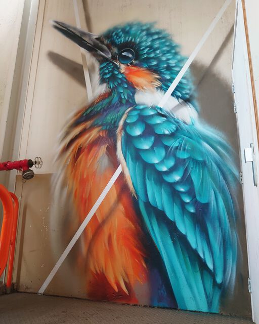 lil modified kingfisher