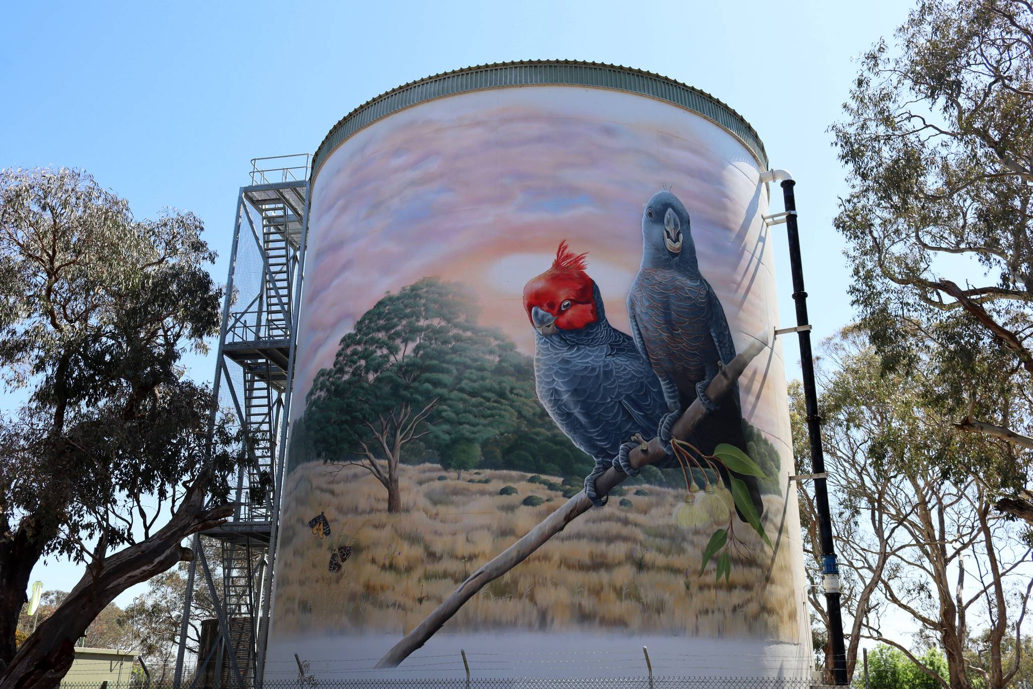 Jimmi Buscombe&mdash;Murrumbateman Water Tank