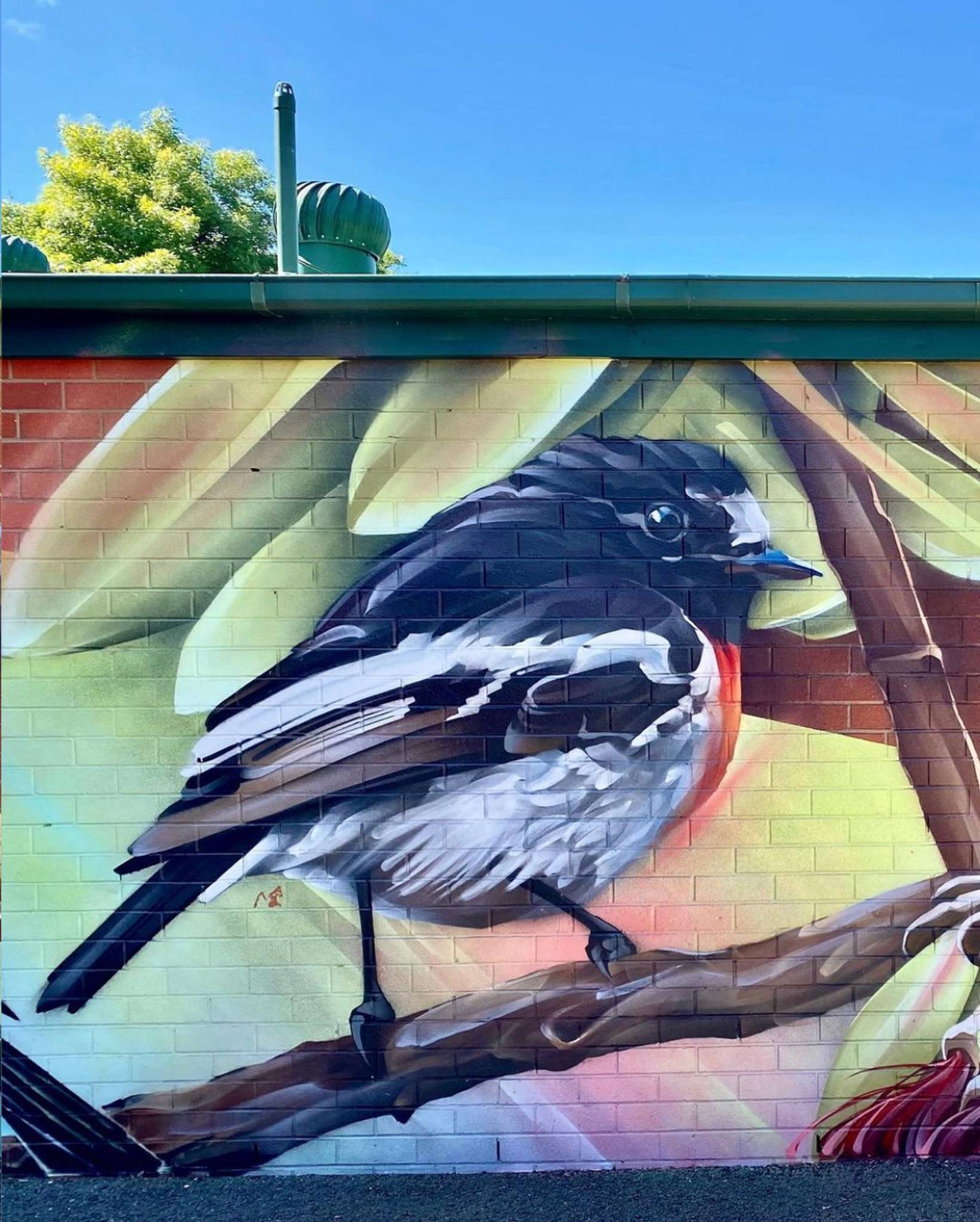 Bryan Itch, Andrew J Bourke&mdash;Scarlet Robin, Superb Fairywren and Golden Whistler