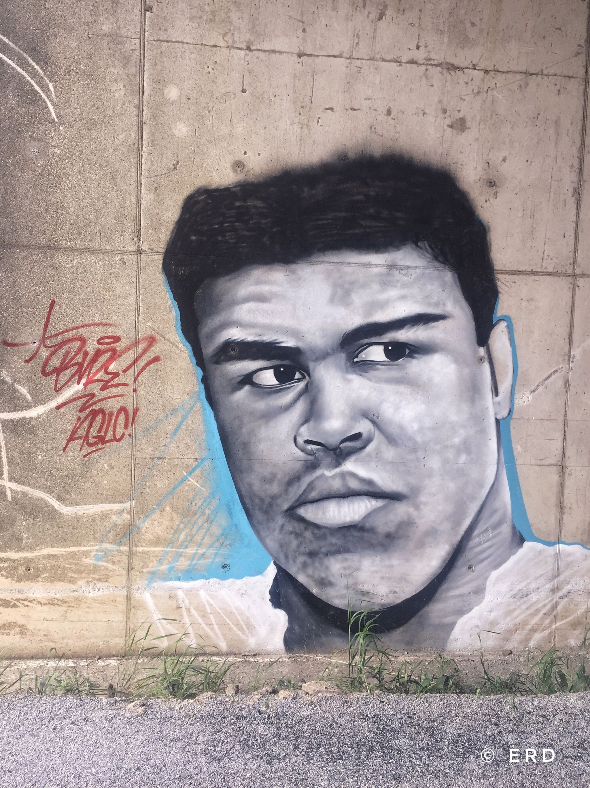 Unknown - Lugo&mdash;Cassius Clay