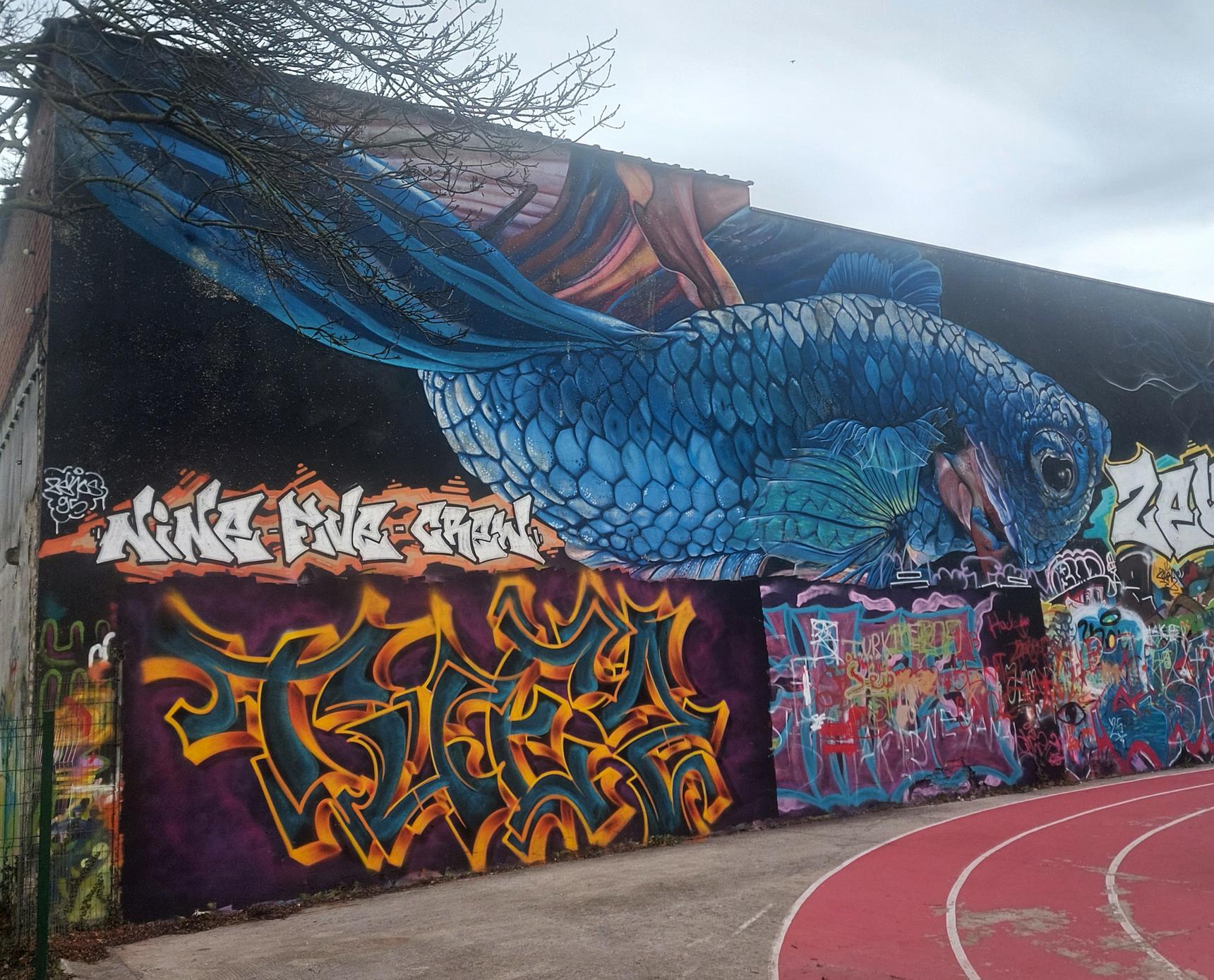 —Asiat skatepark