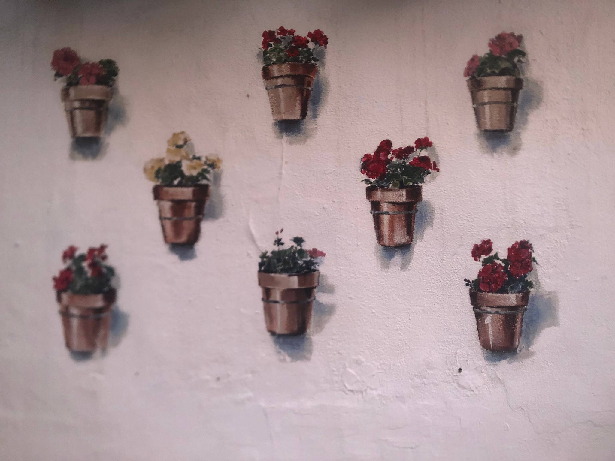 Unknown - Sevilla&mdash;Plantas